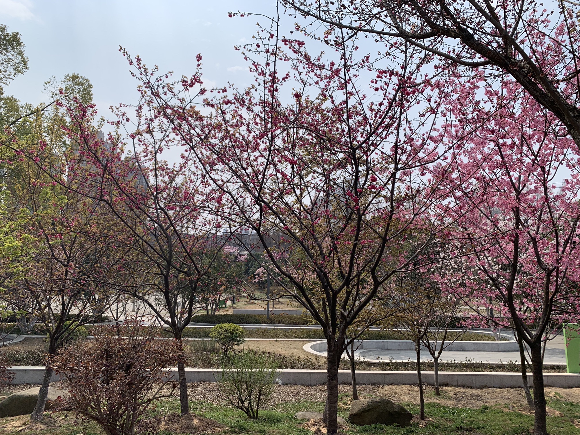 武汉市园林科普公园旅行图片