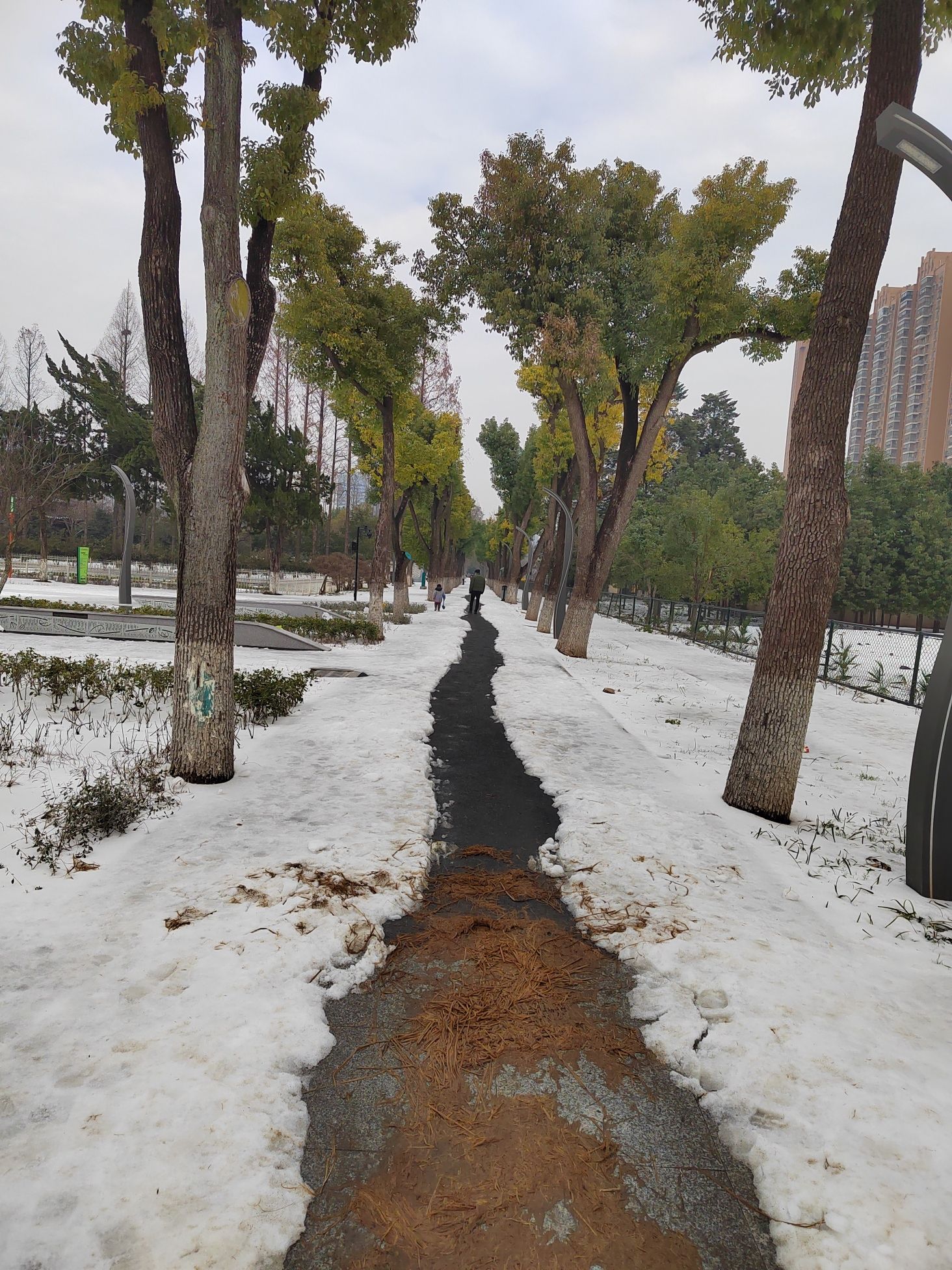 武汉市园林科普公园旅行图片