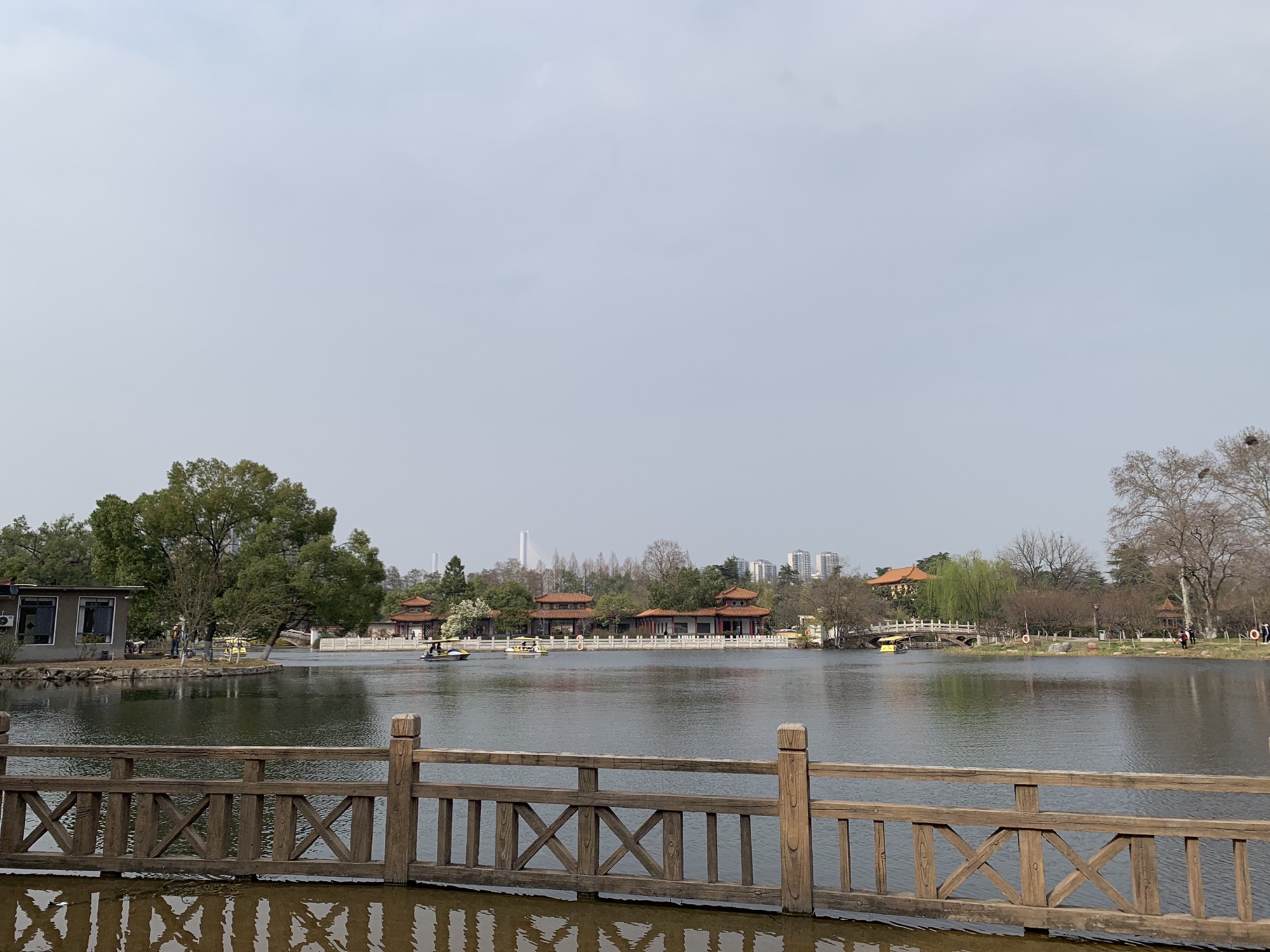 青山公园旅行图片