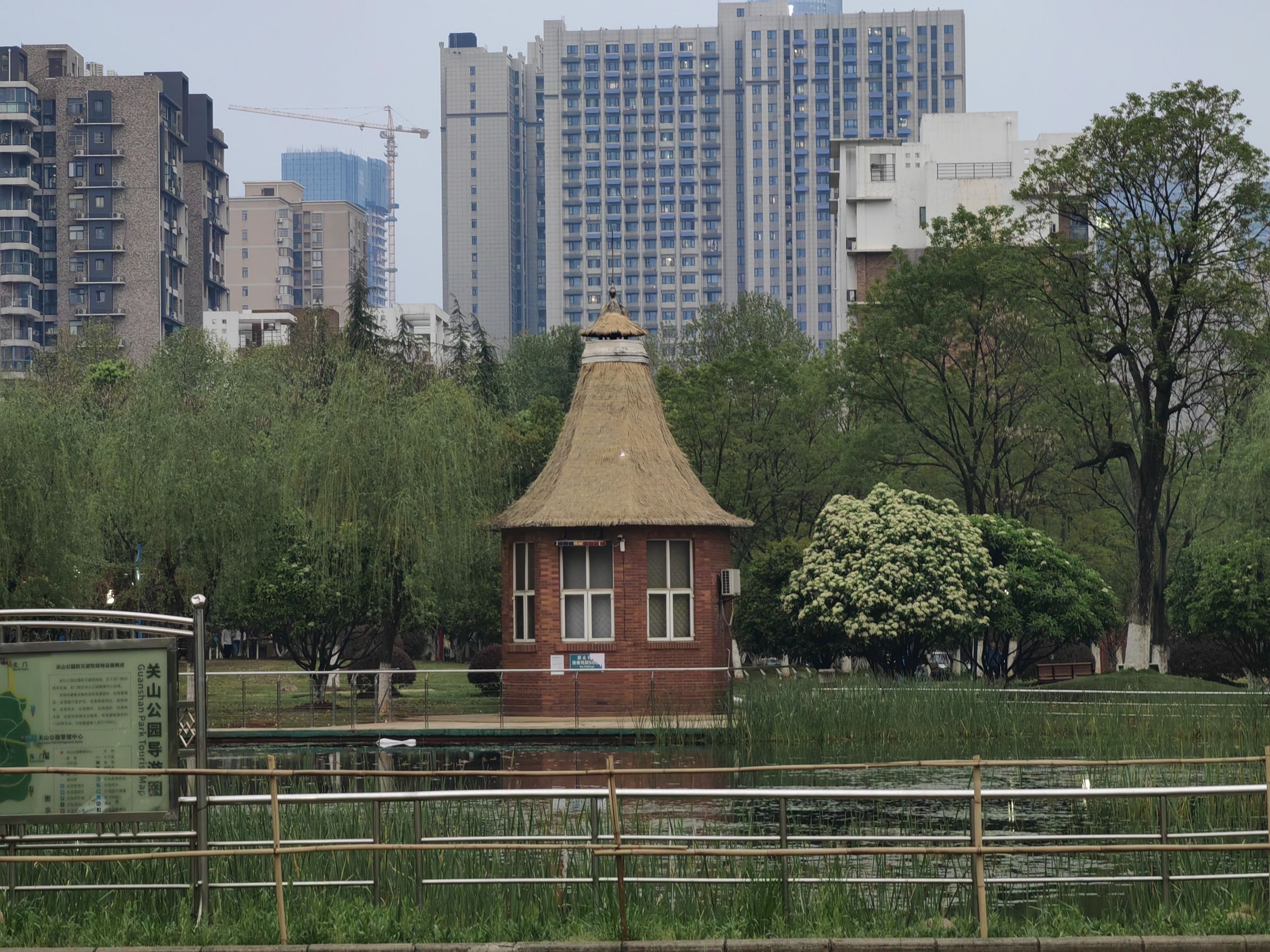 关山荷兰风情园旅行图片