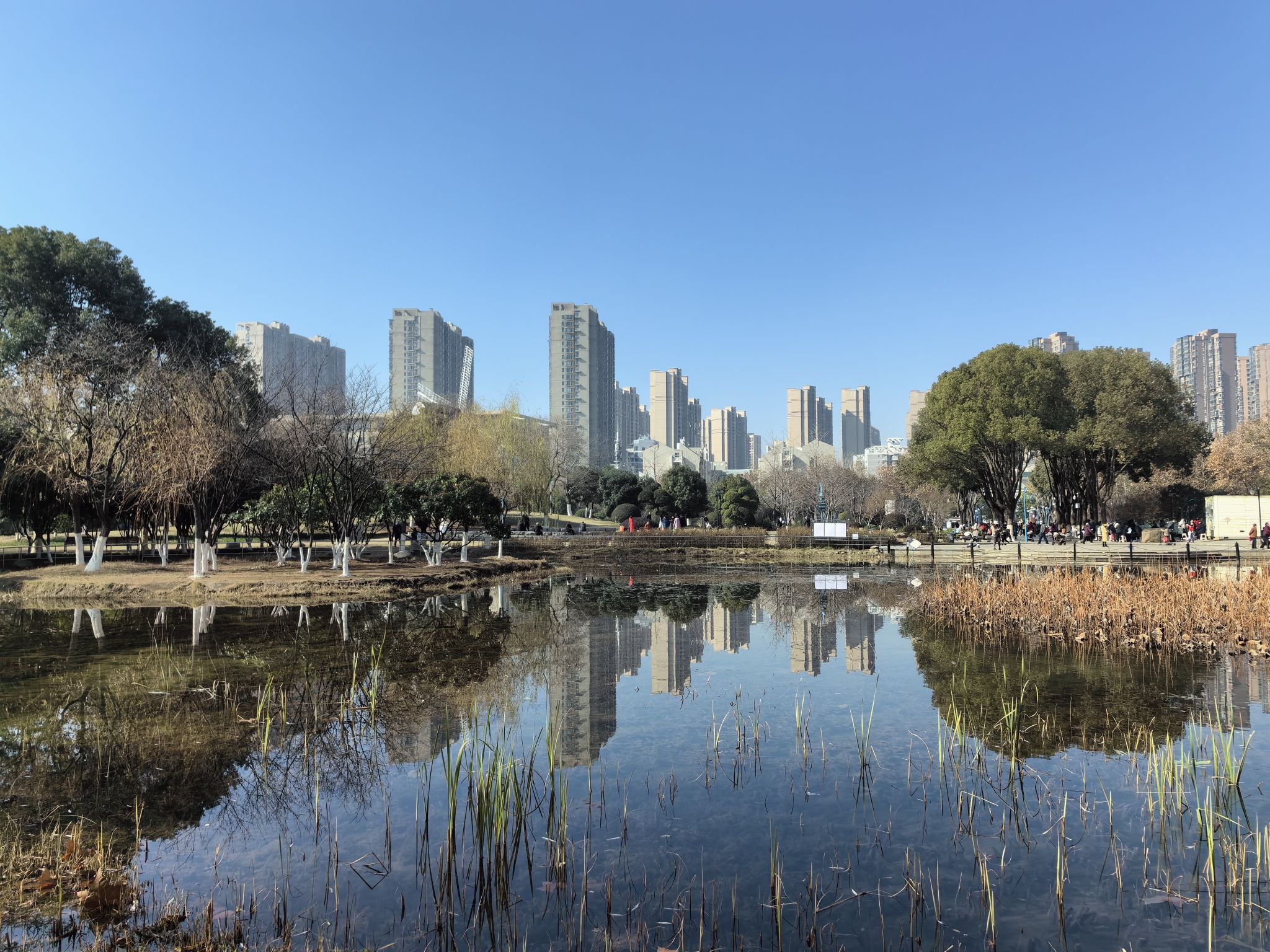 关山荷兰风情园旅行图片