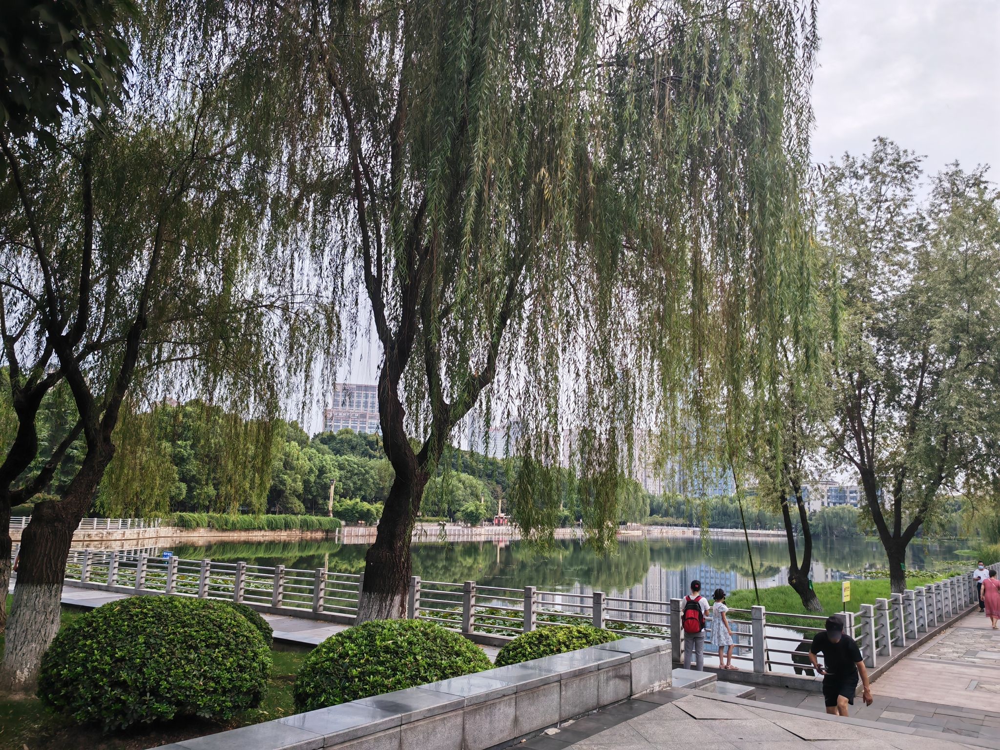 后襄河公园