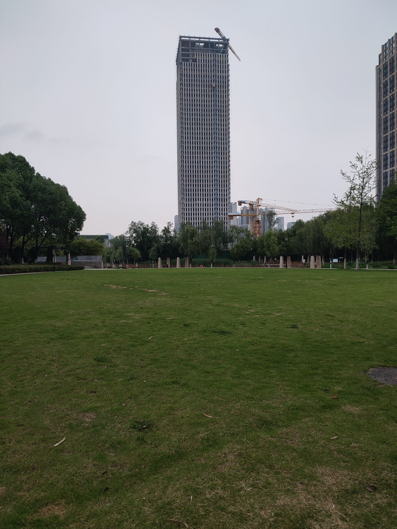 新区公园