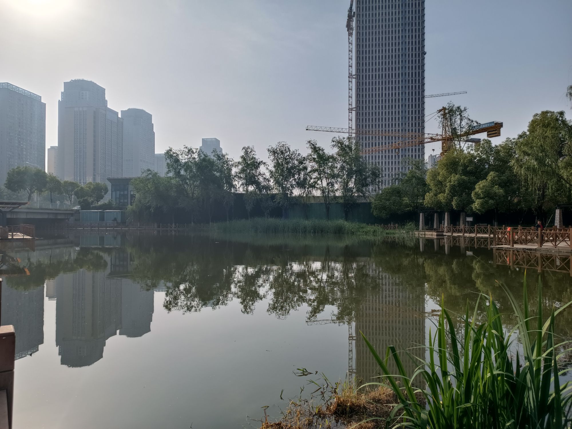 新区公园旅行图片
