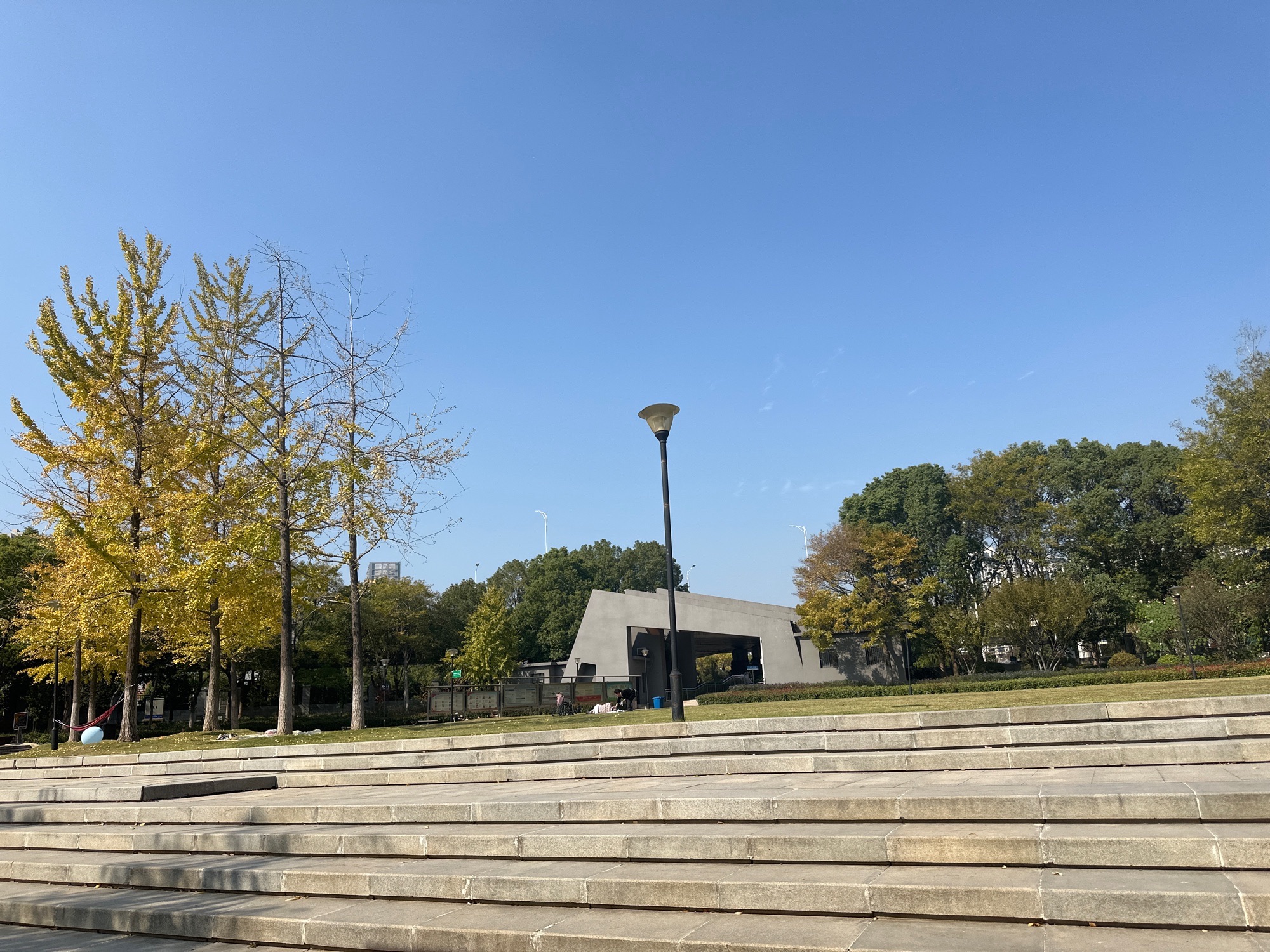 新区公园旅行图片