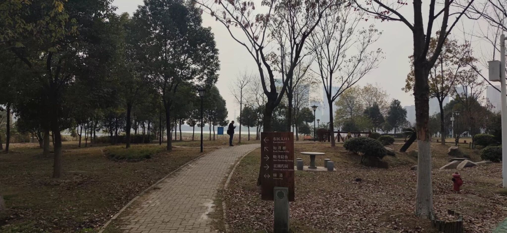 杨春湖公园旅行图片