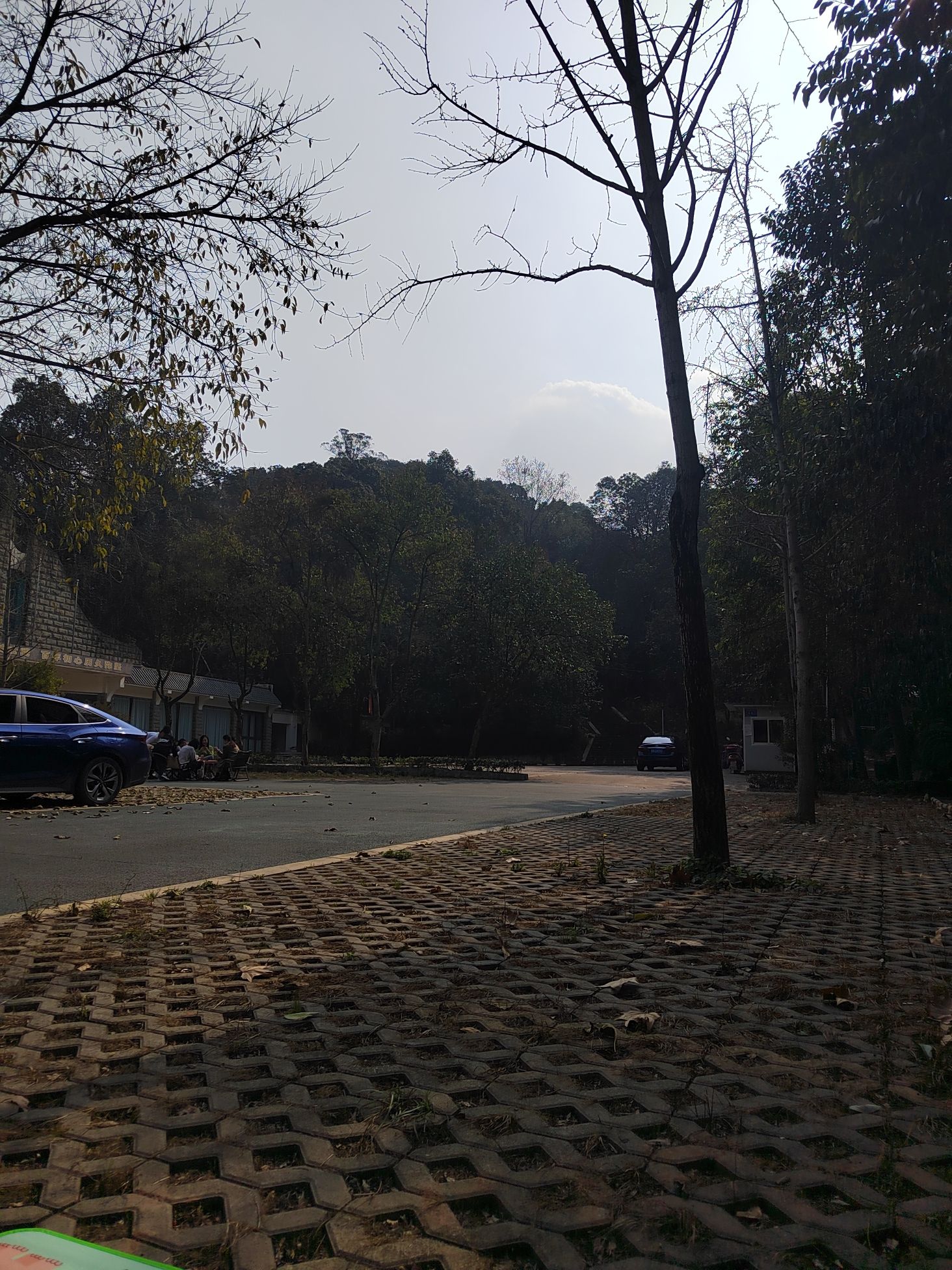 宝资山森林公园