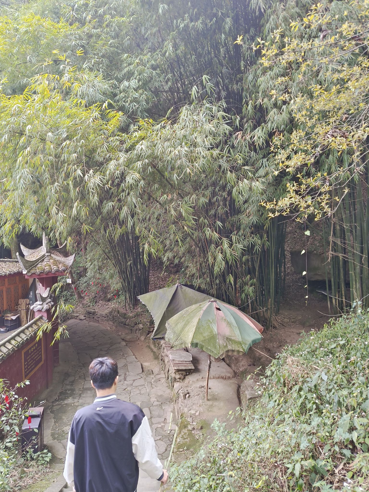 丹景山