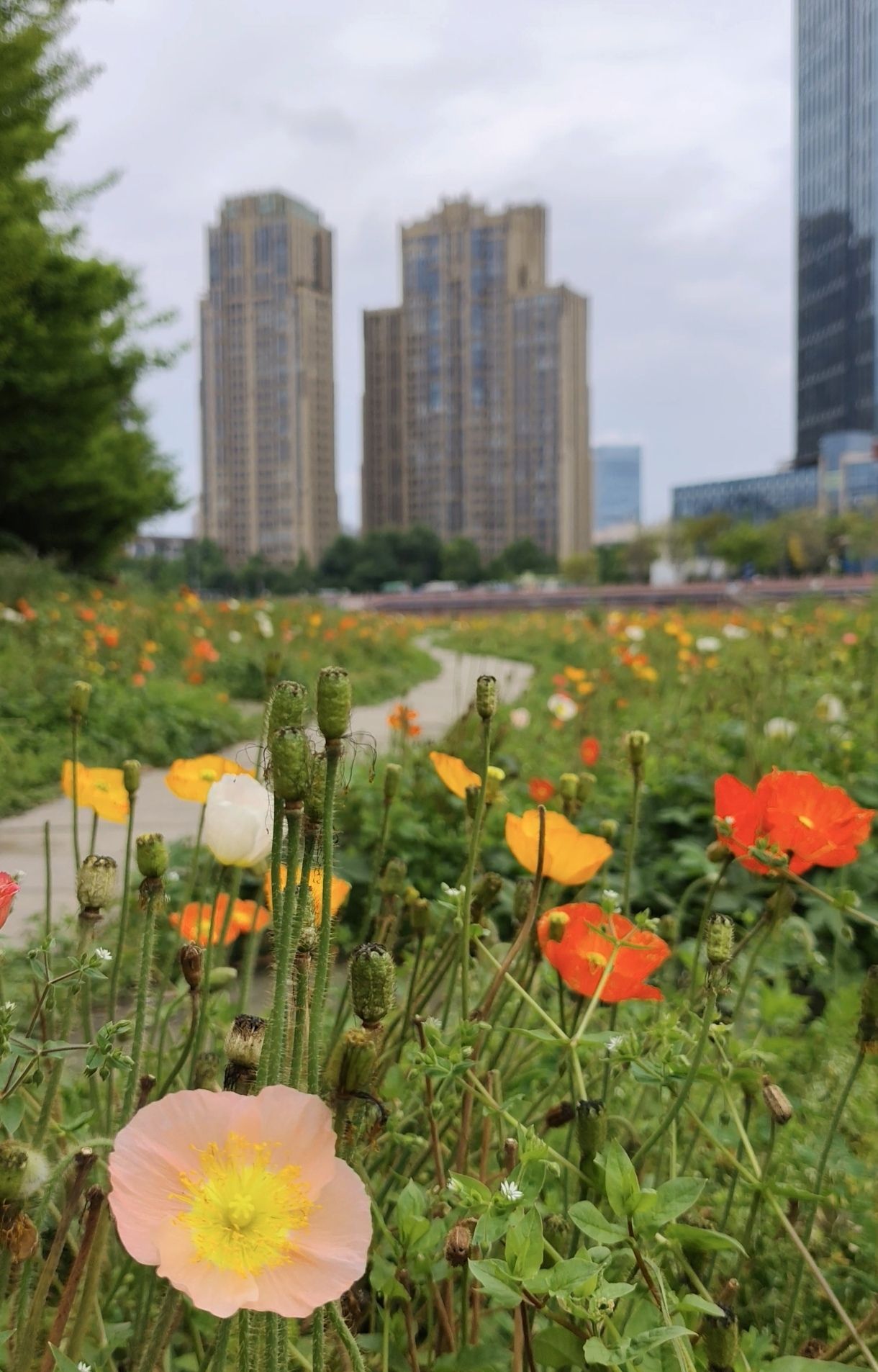 望江楼公园