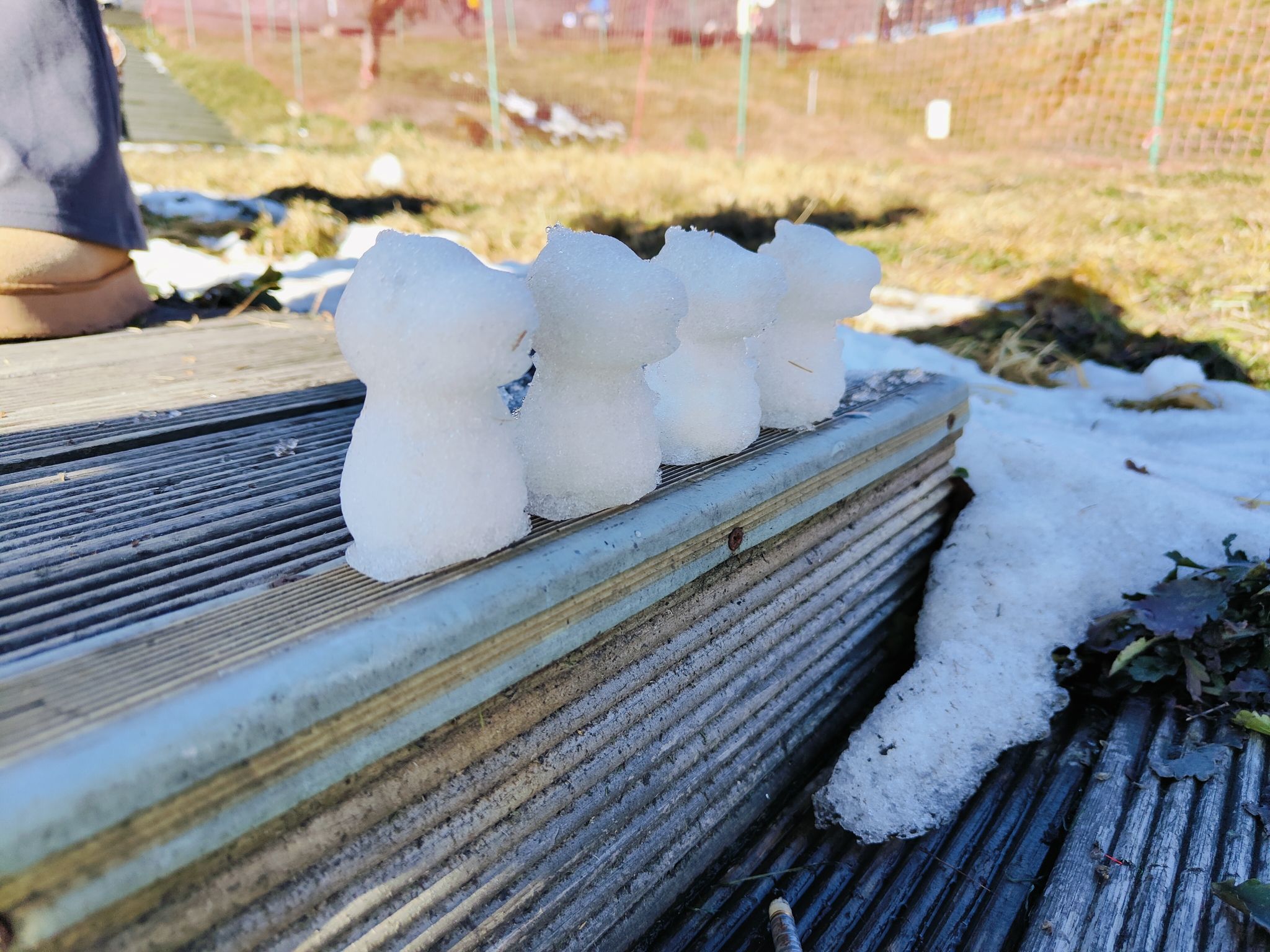 西岭雪山风景名胜区旅行图片