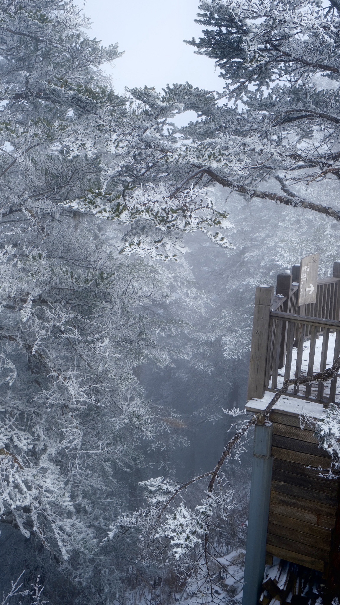 西岭雪山风景名胜区旅行图片