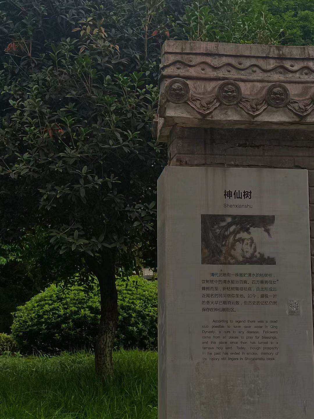 神仙树公园