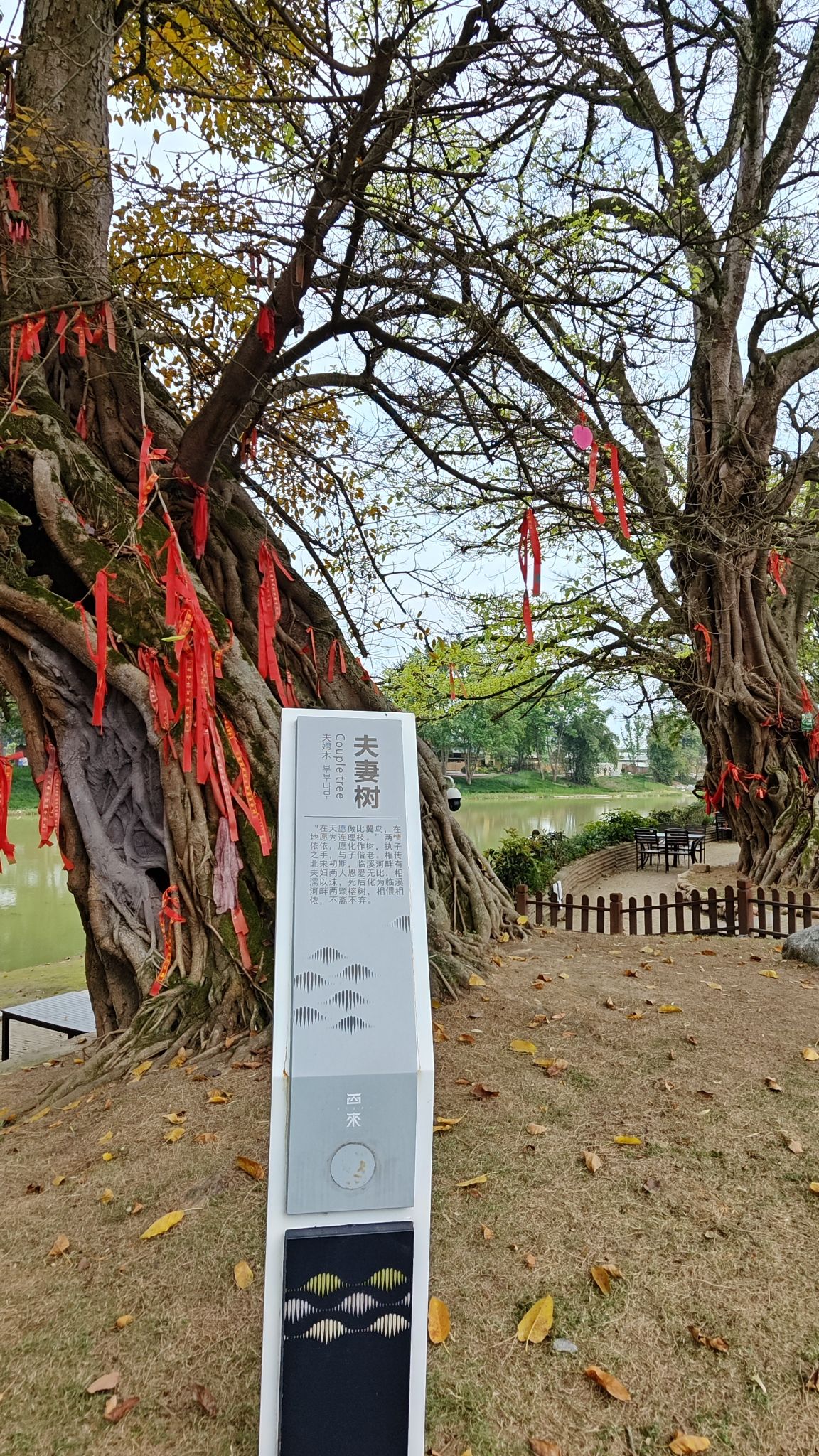 西来古镇旅行图片