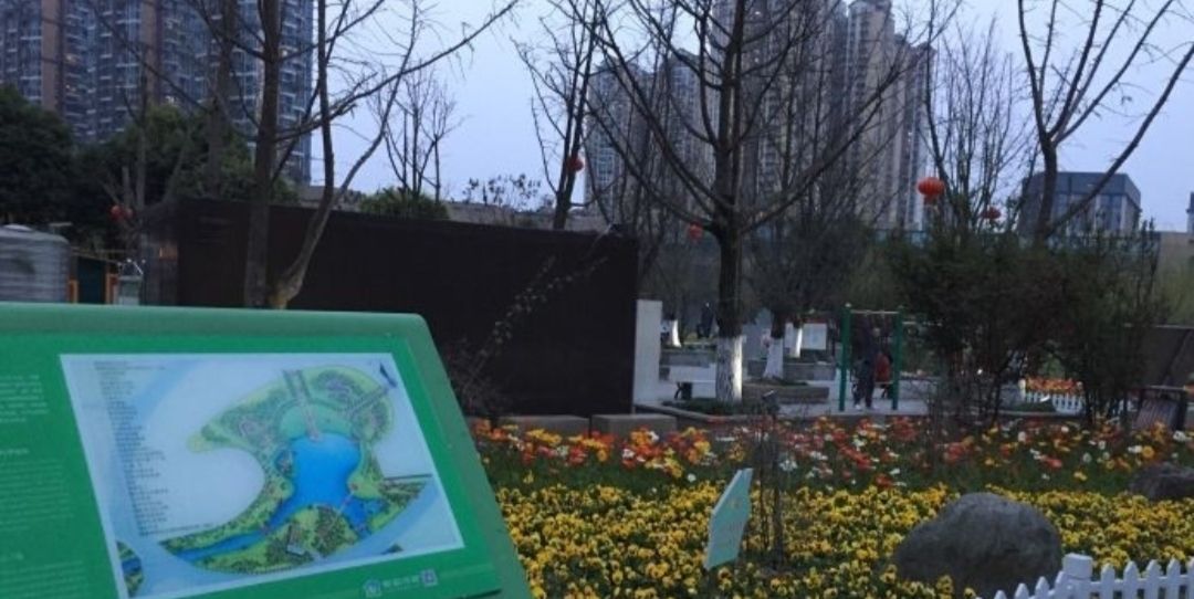 创智公园
