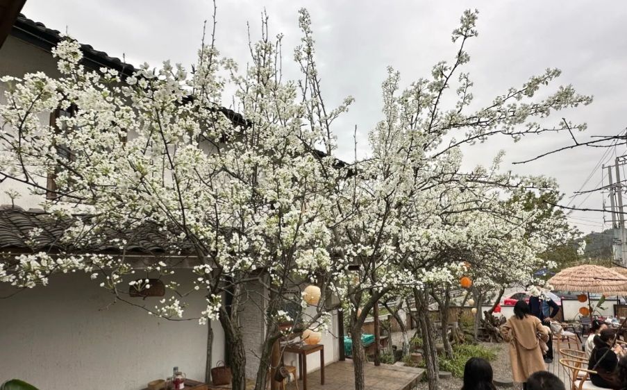 梨花溪风景区