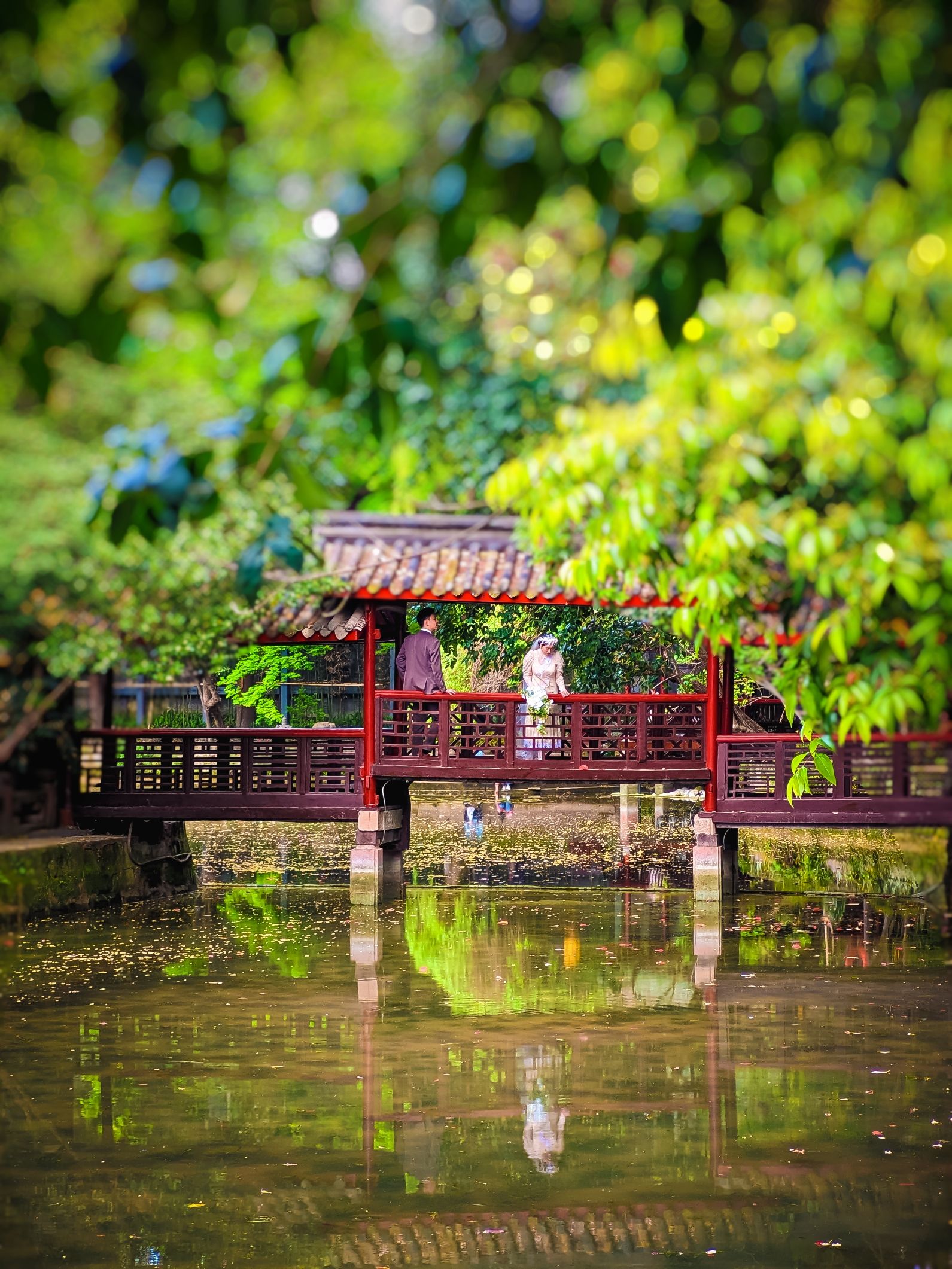 罨画池旅行图片