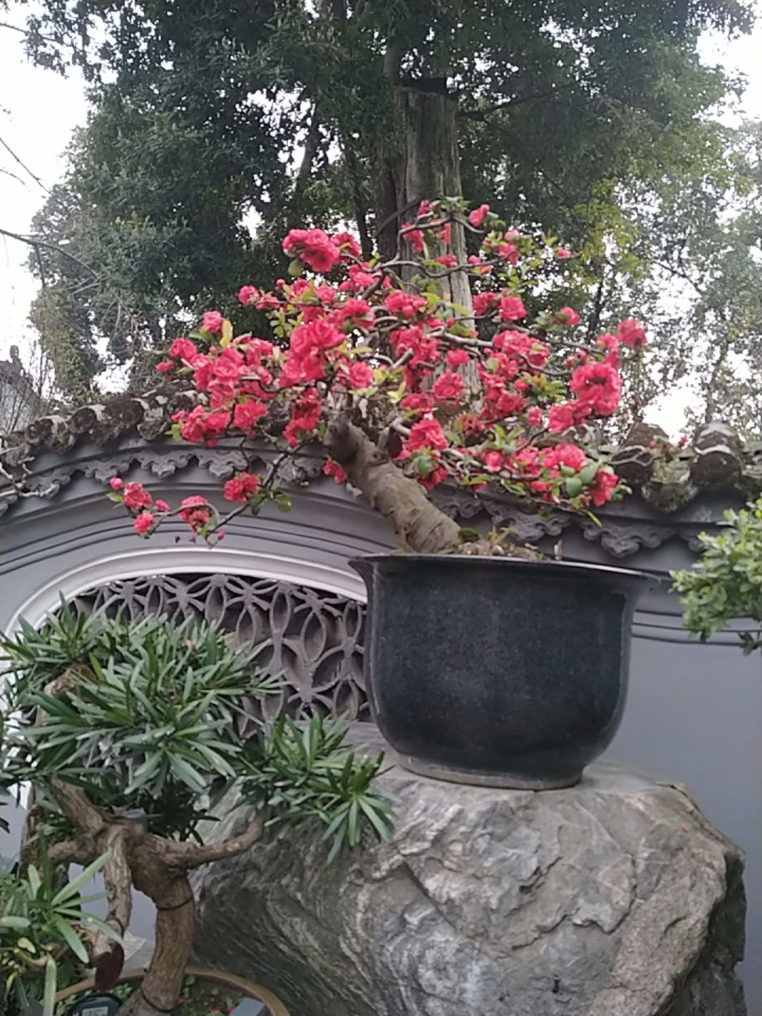 罨画池旅行图片