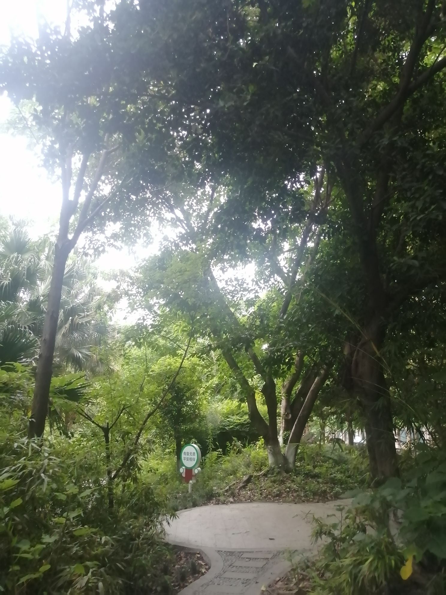 橡树林滨河公园