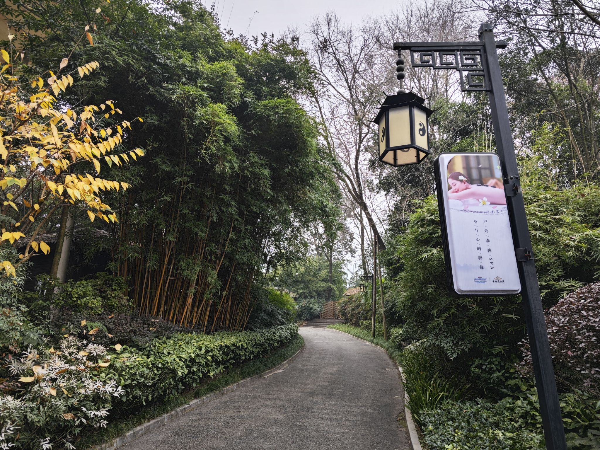 青城道温泉
