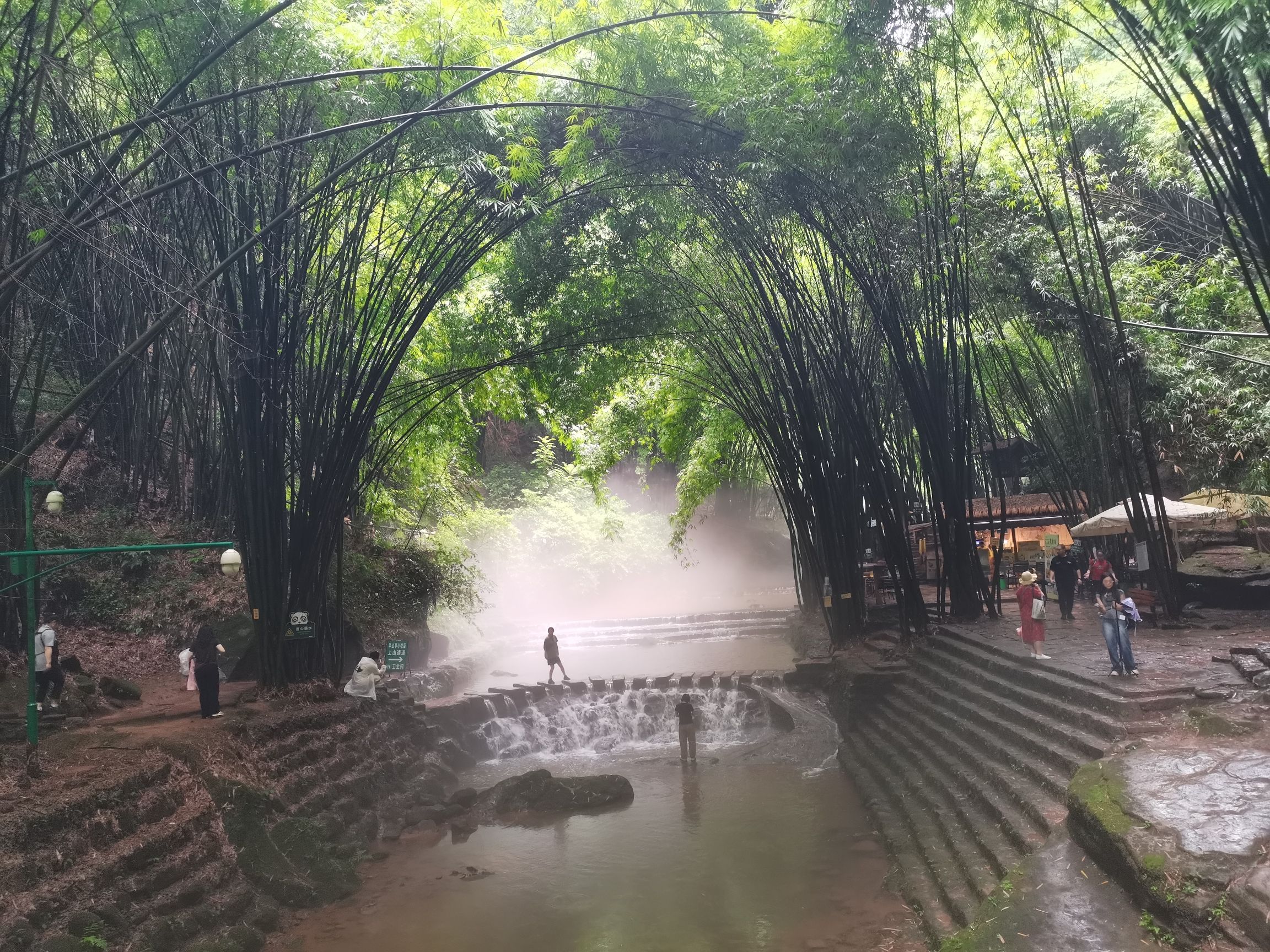 川西竹海景区旅行图片