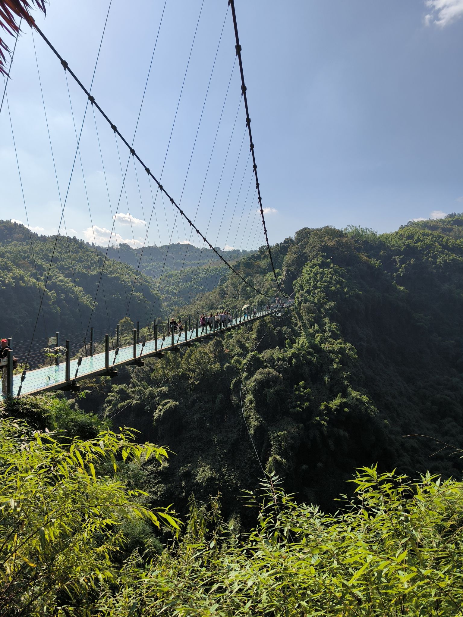 川西竹海景区旅行图片