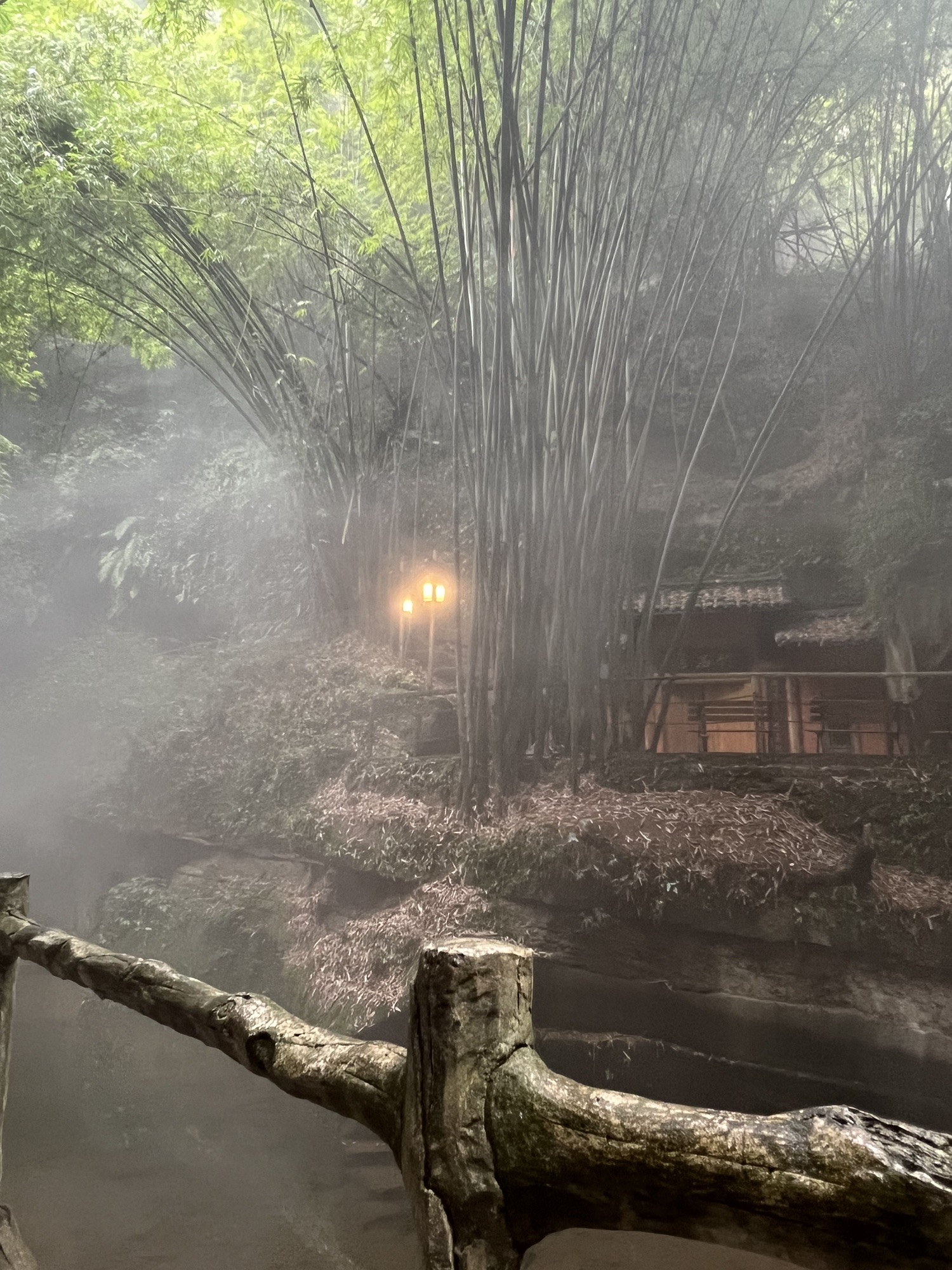 川西竹海景区旅行图片