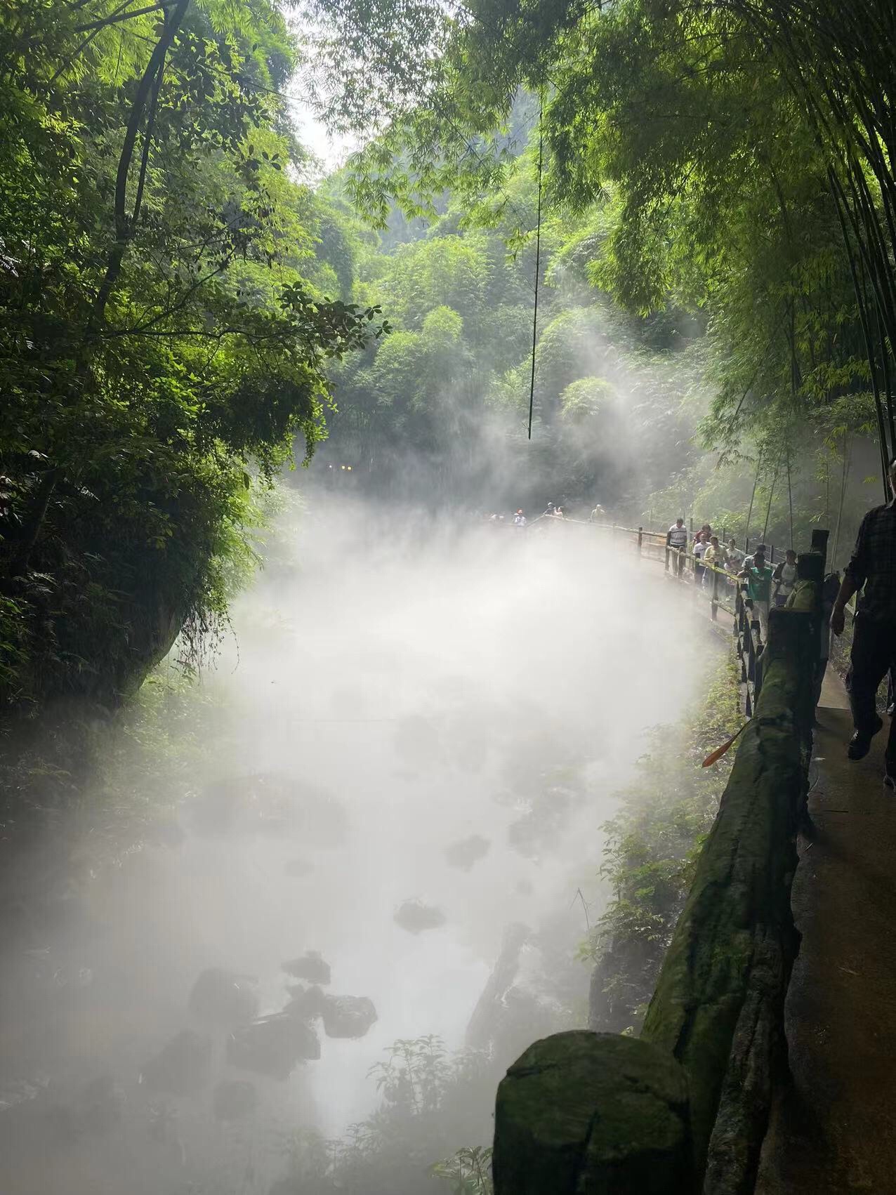 金龙湖