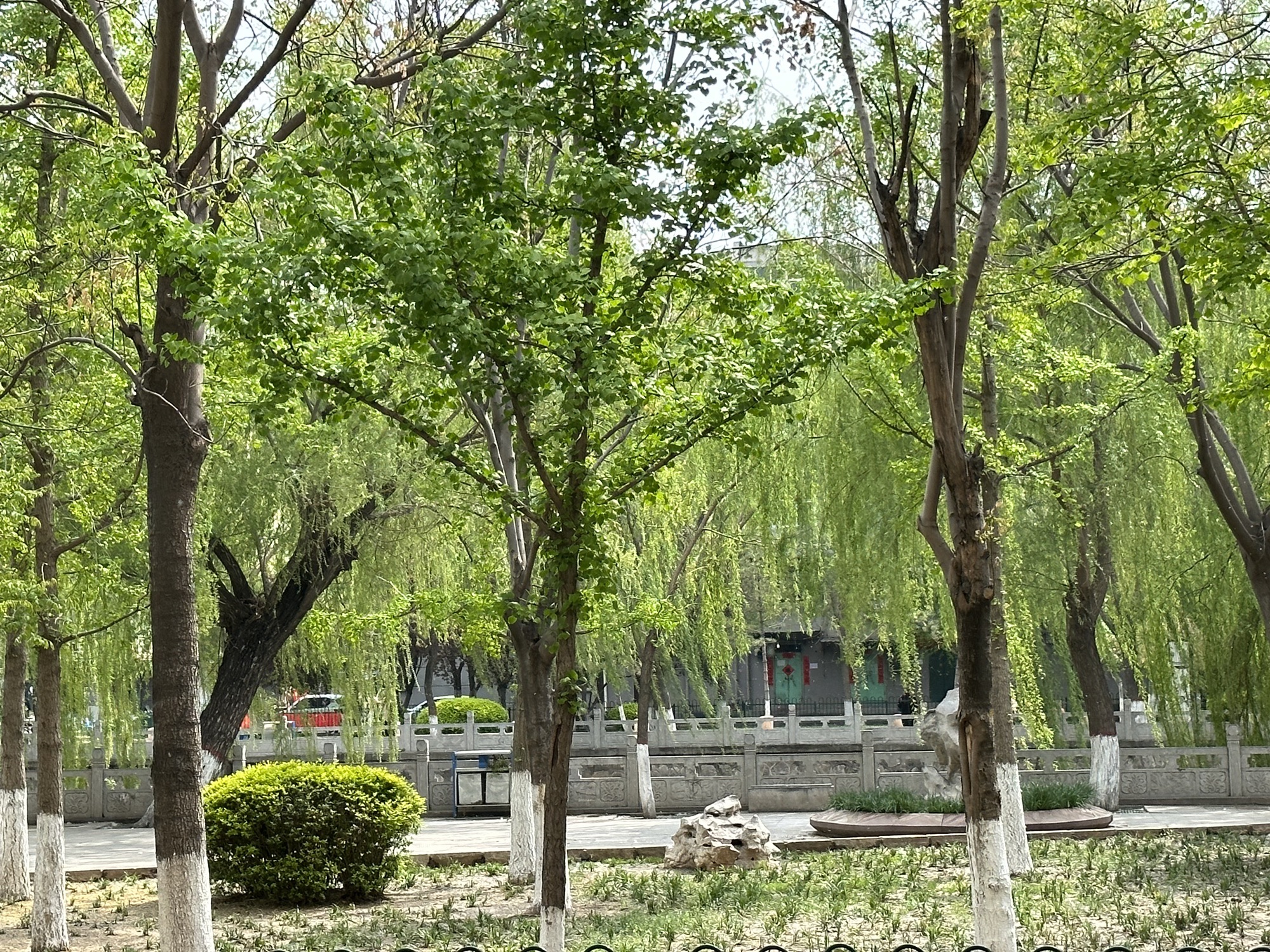 学步桥广场旅行图片