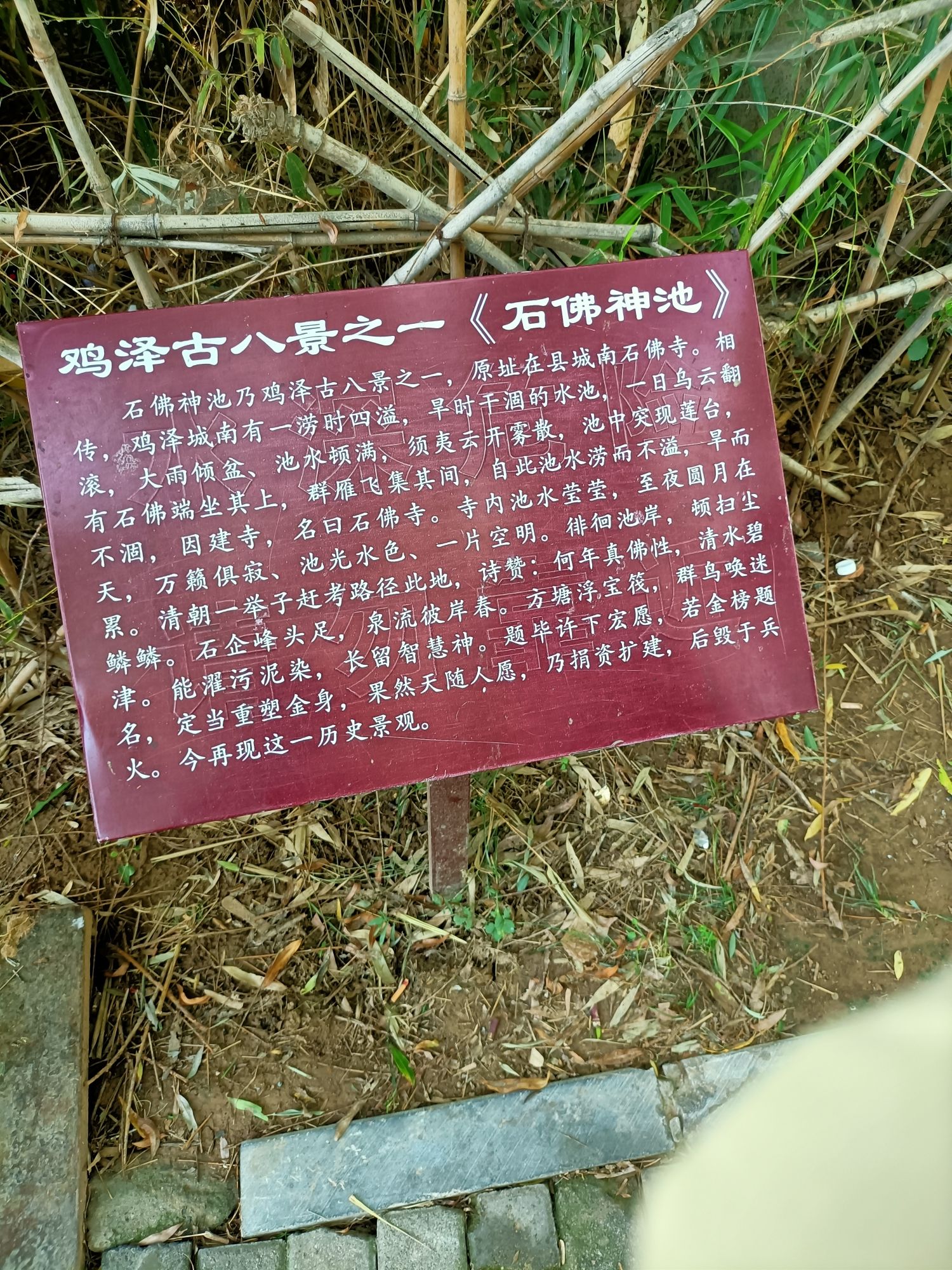 诗经文化园旅行图片