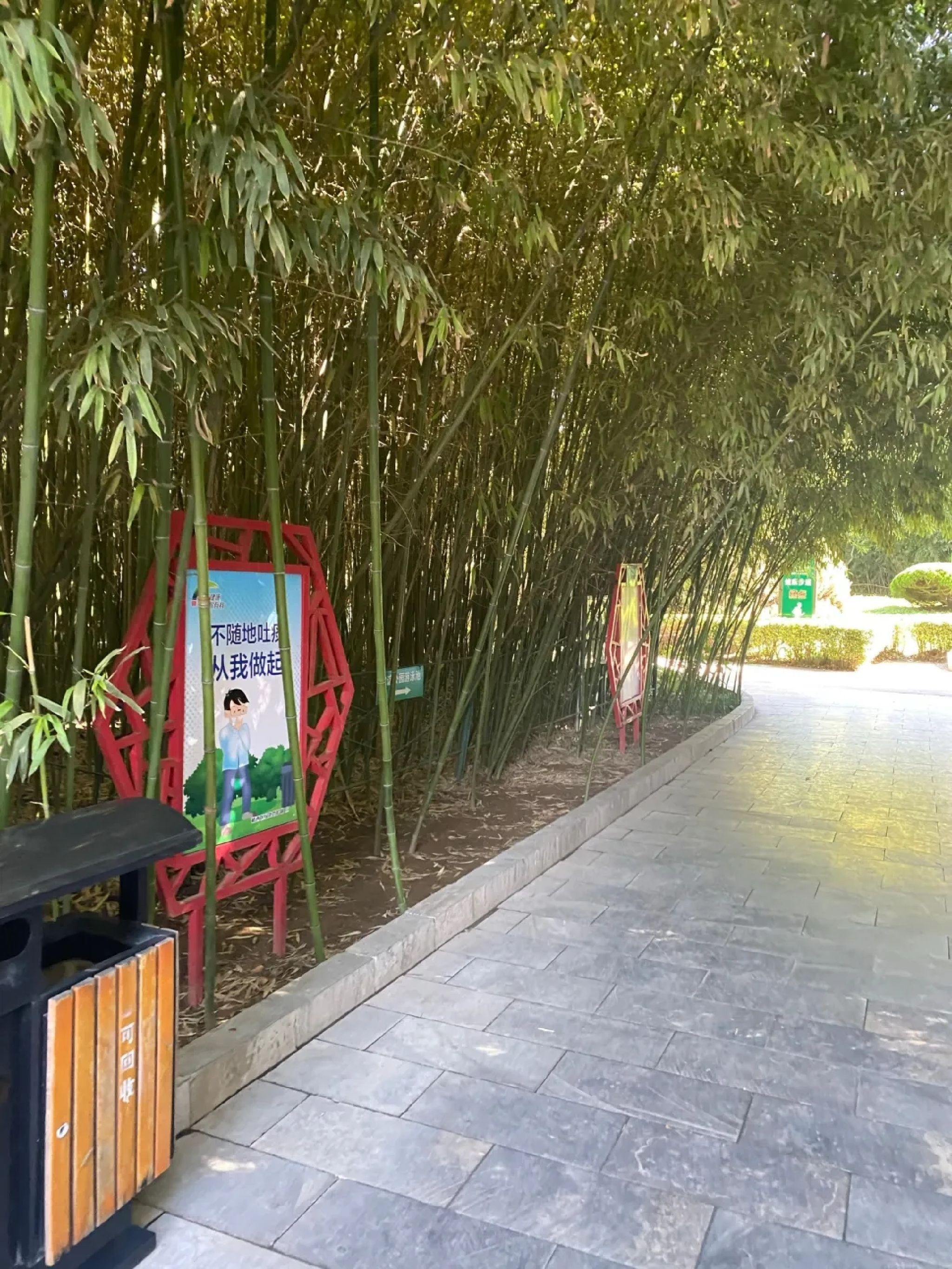 友谊公园旅行图片