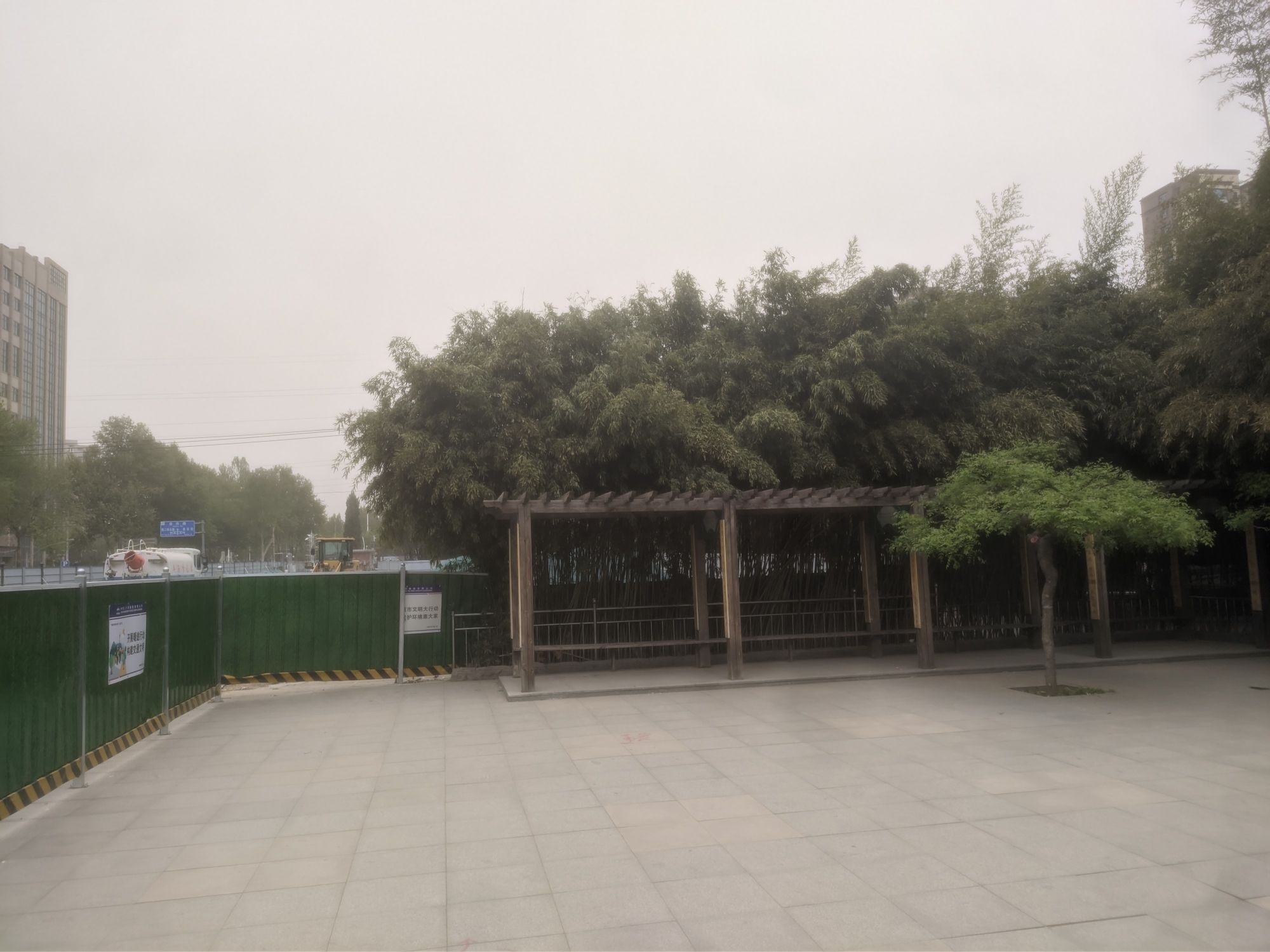友谊公园旅行图片