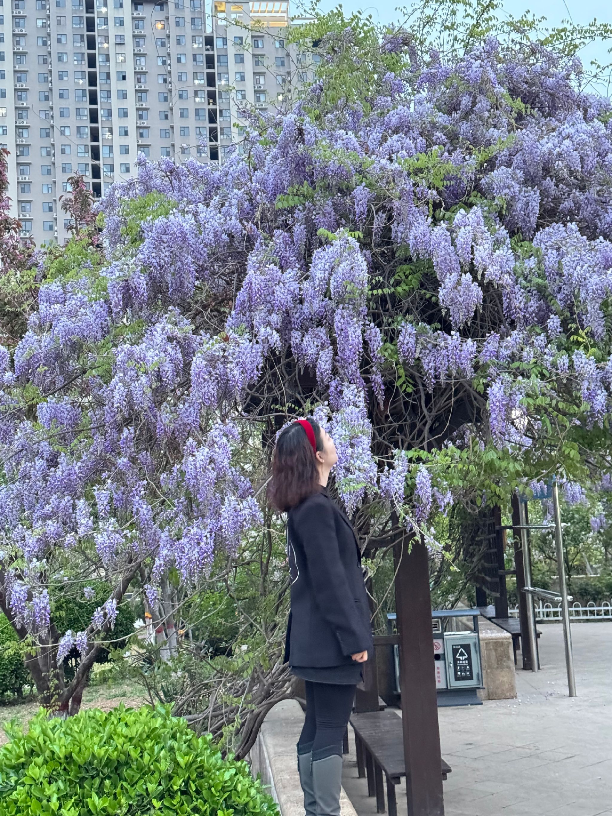 花卉园旅行图片