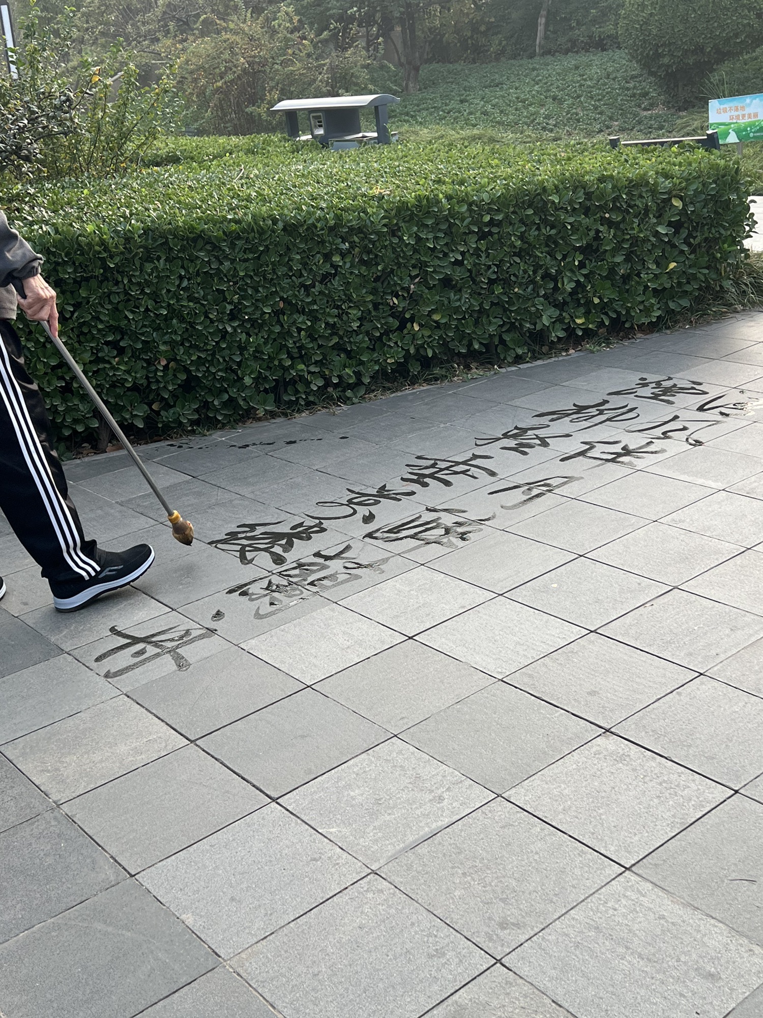 花卉园旅行图片