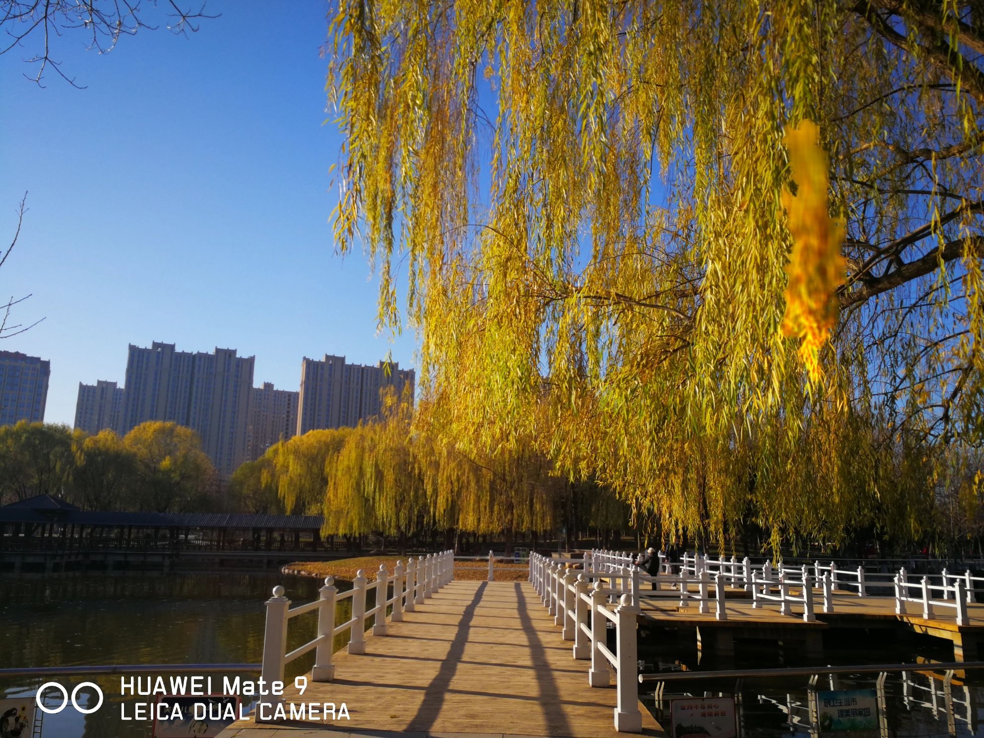 东环公园旅行图片