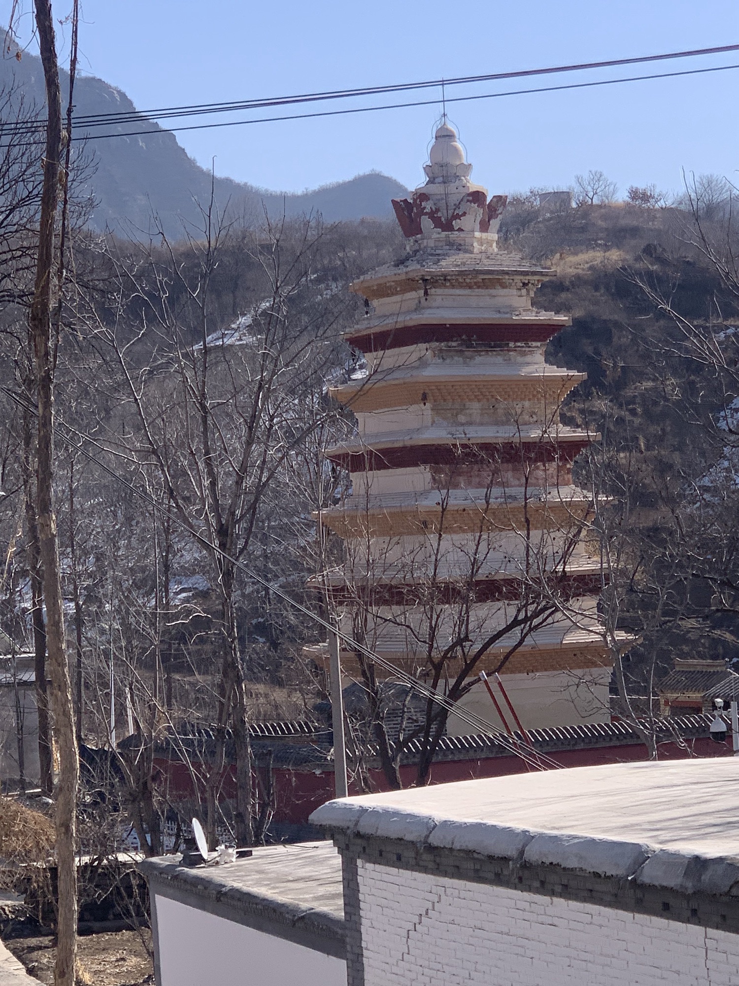 幽居寺塔旅行图片