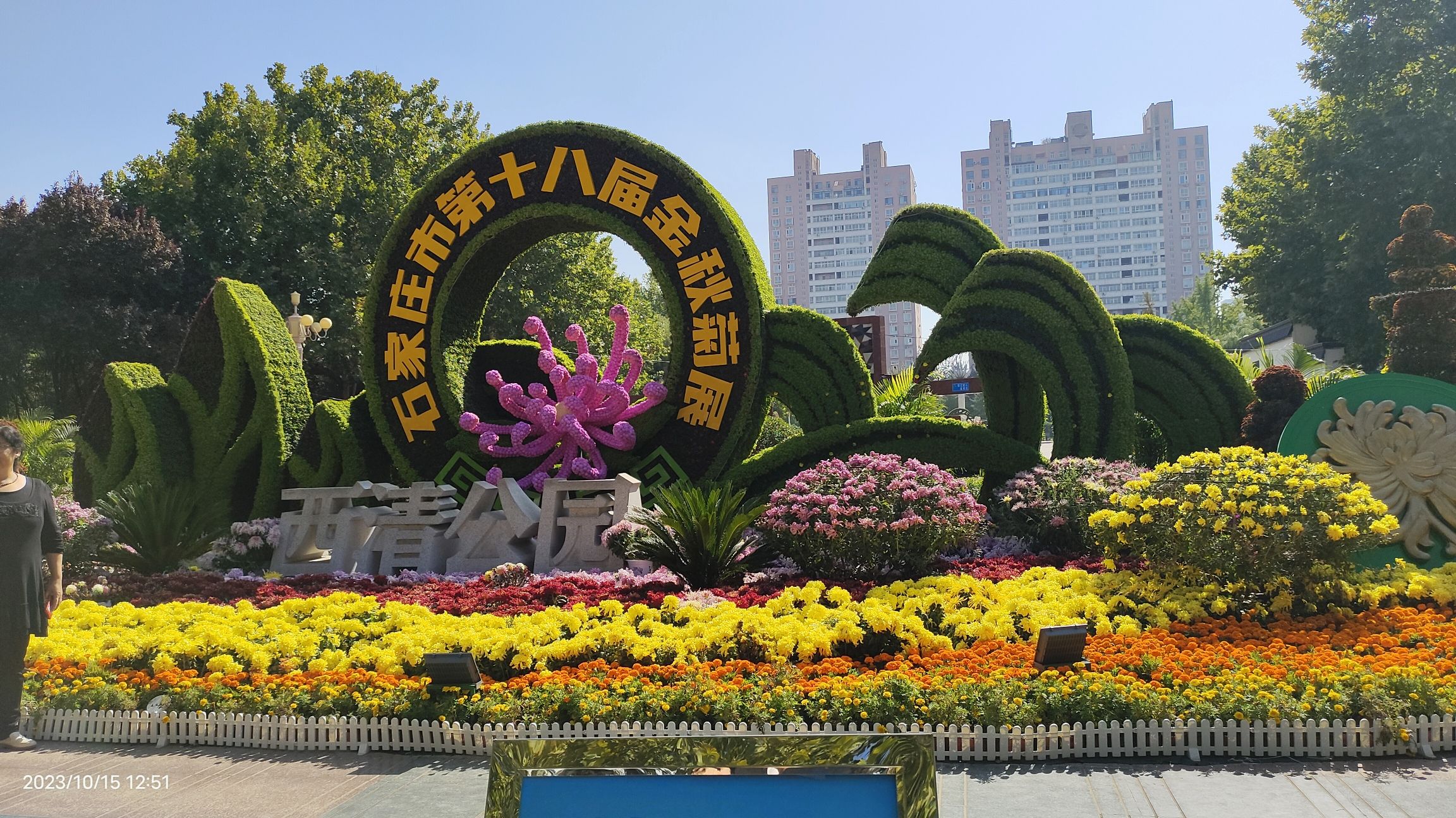 西清公园旅行图片