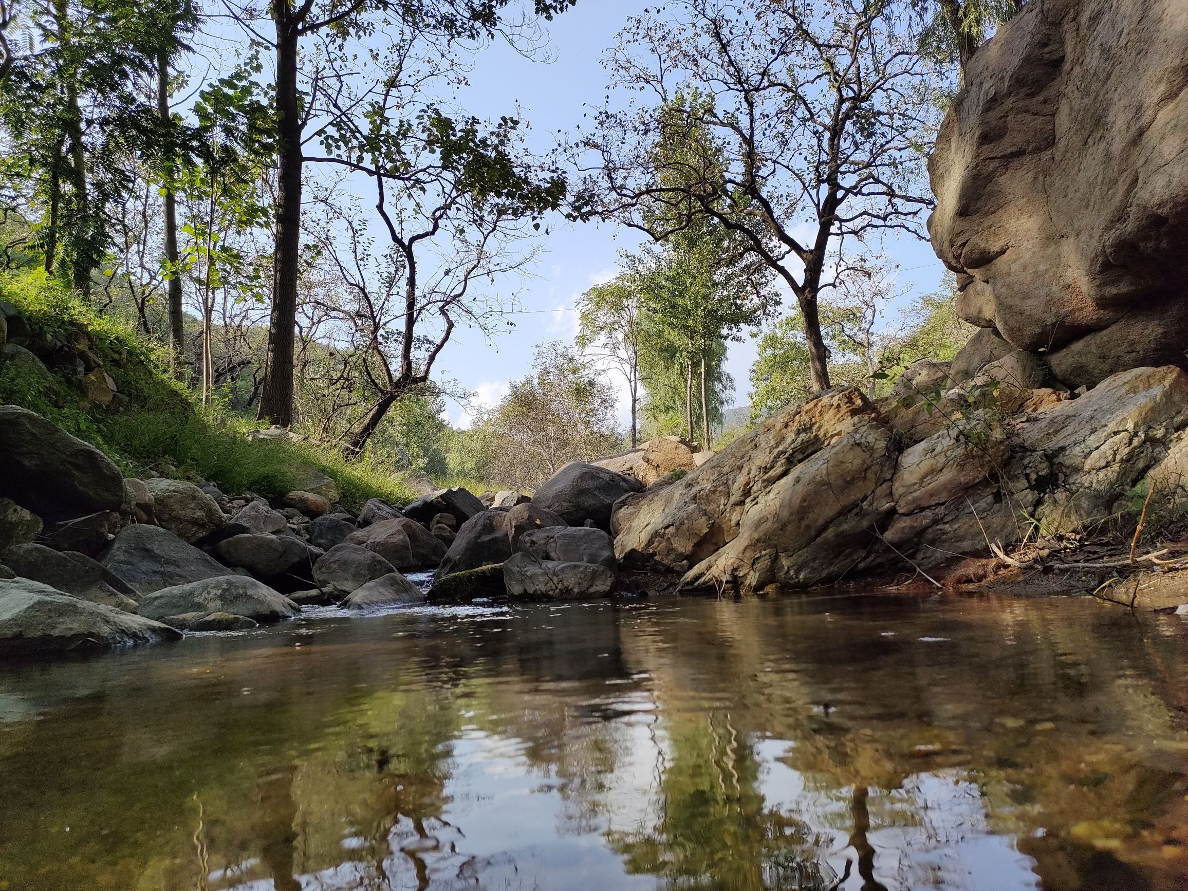 藤龙山景区(暂停开放)旅行图片