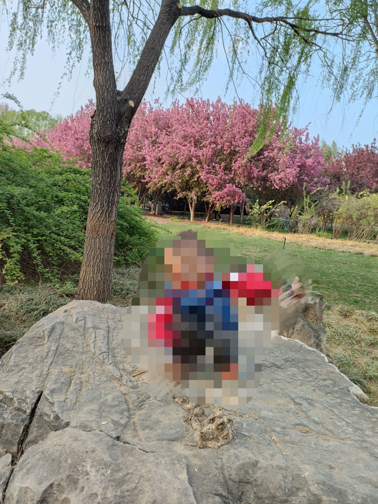 石太公园