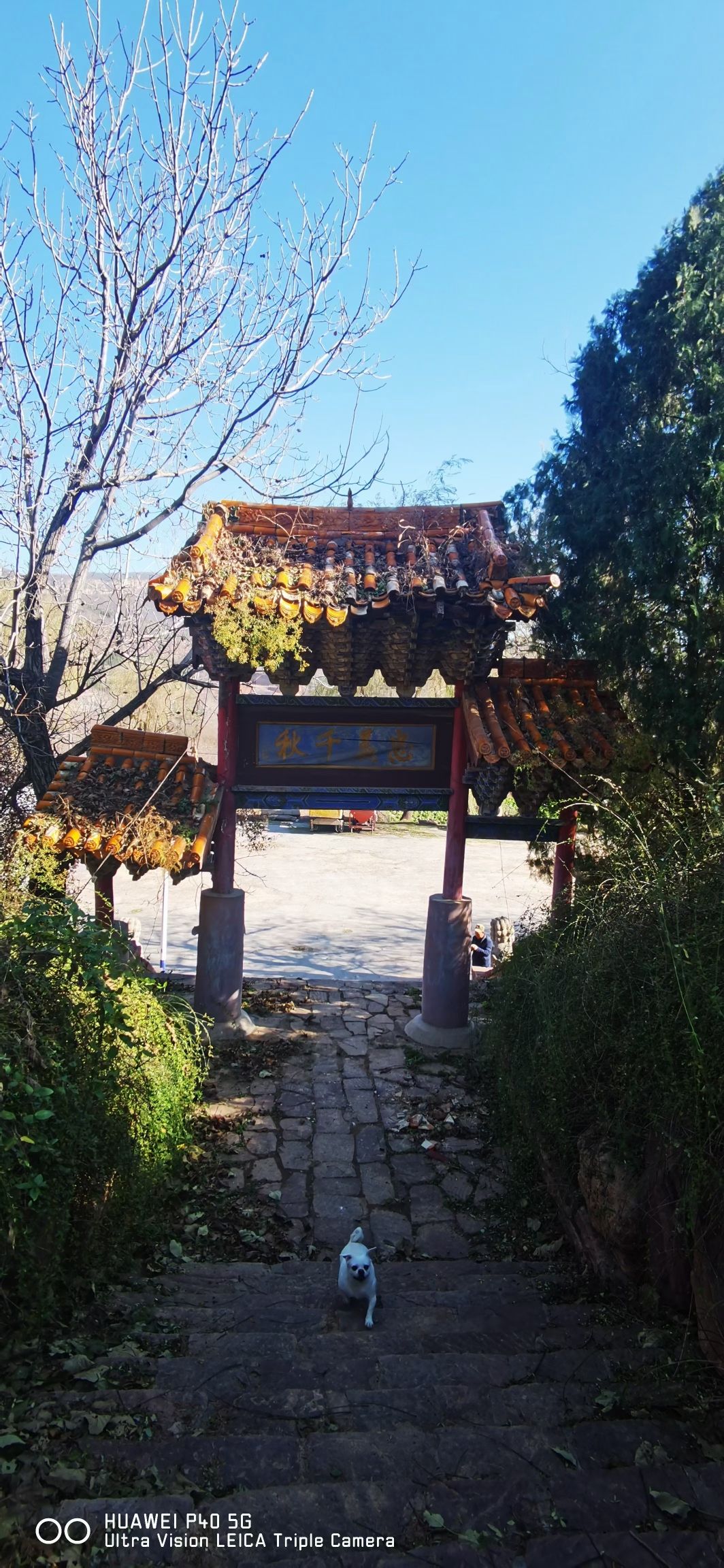 孤山风景区