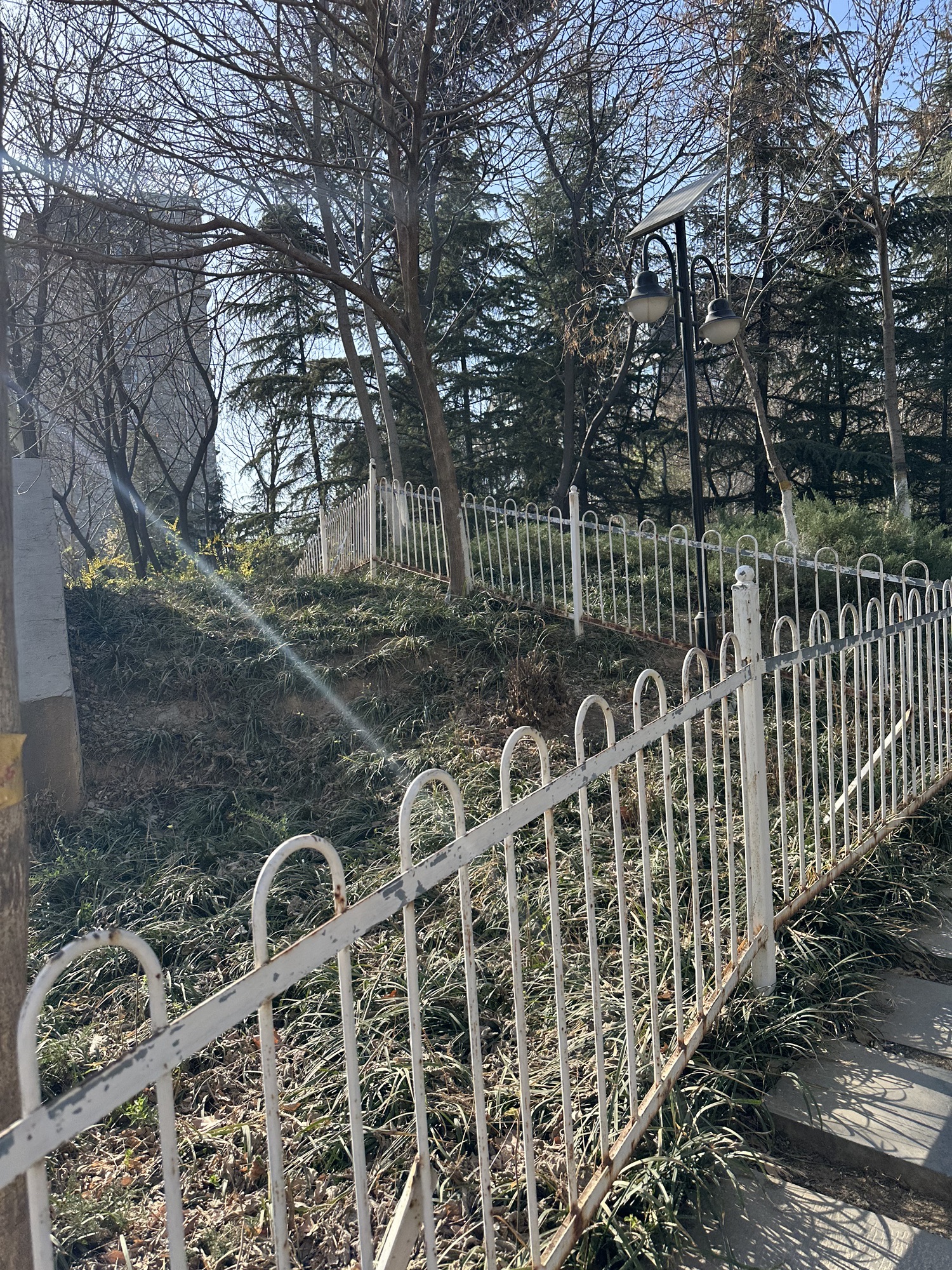 槐北公园