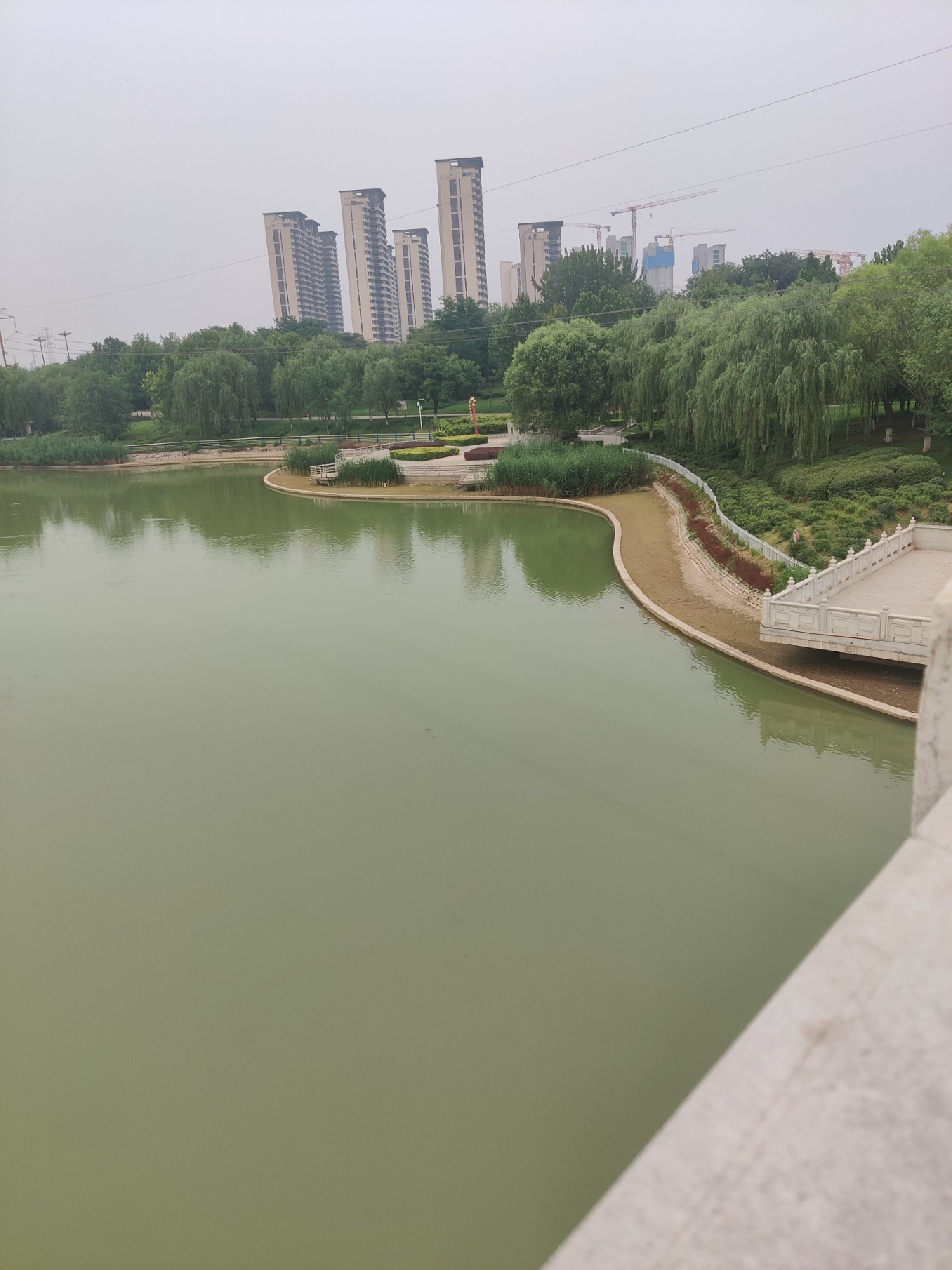 天山公园