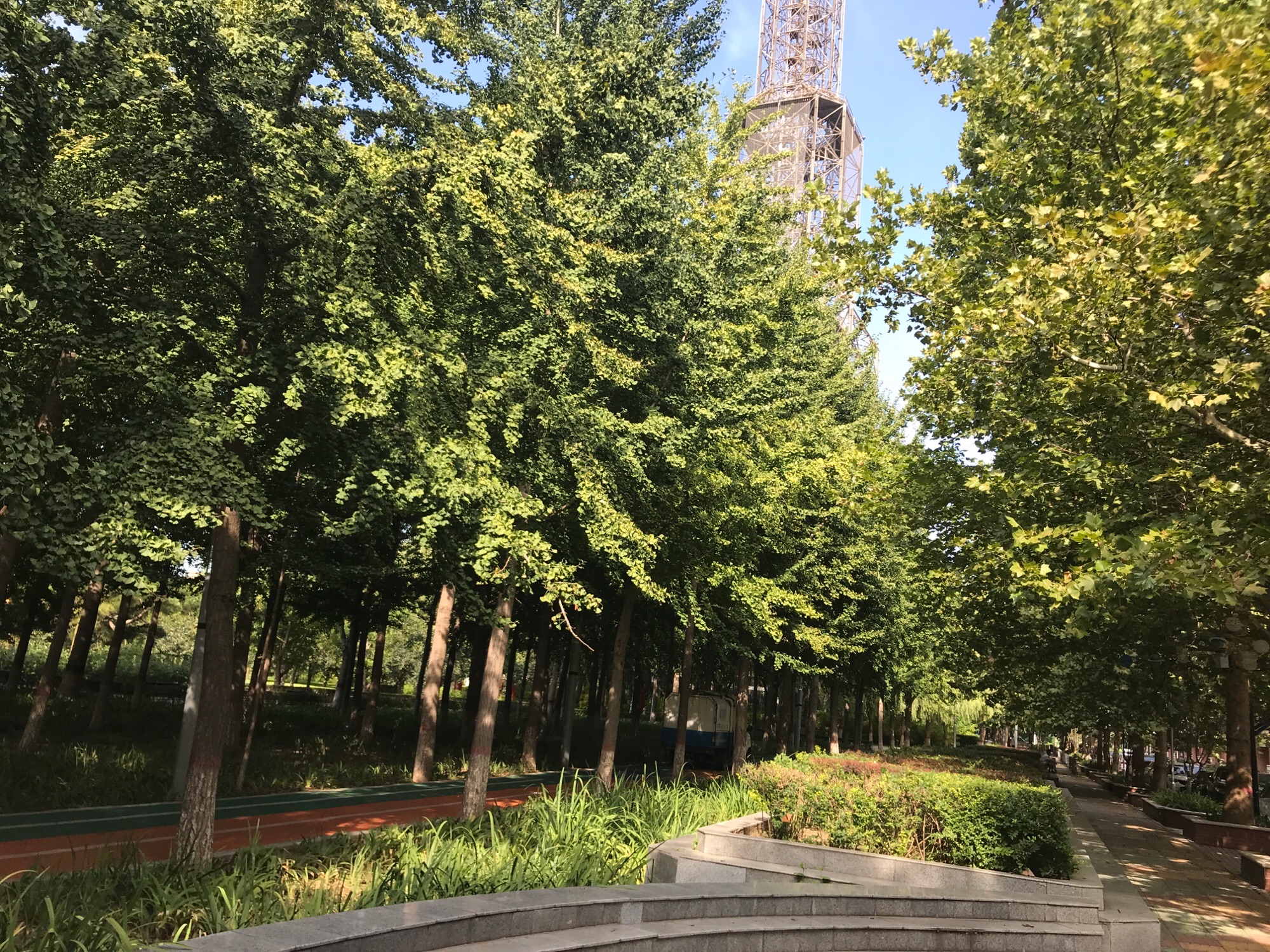 藁城区人民广场旅行图片