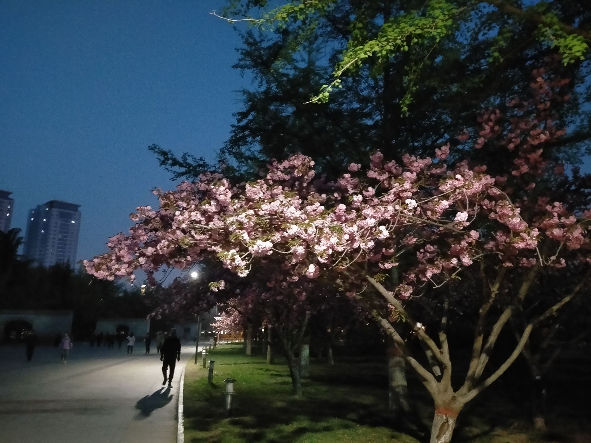 保定军校公园