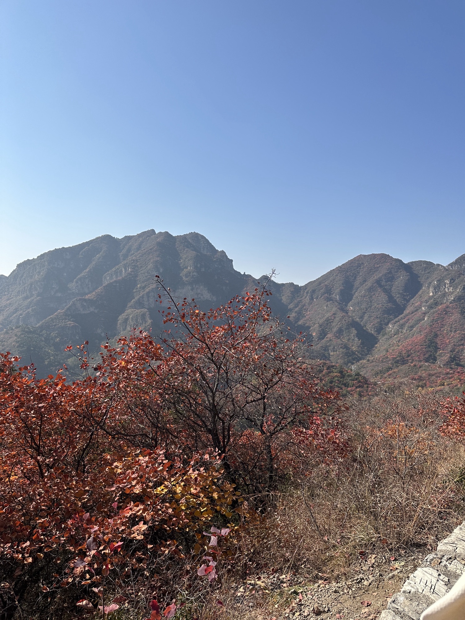 白银坨风景区