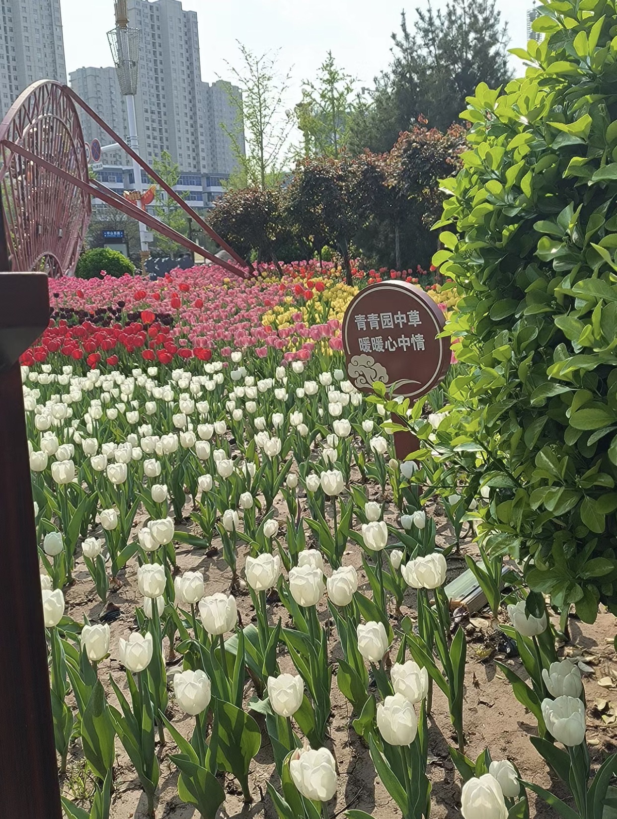 张寒晖文化广场