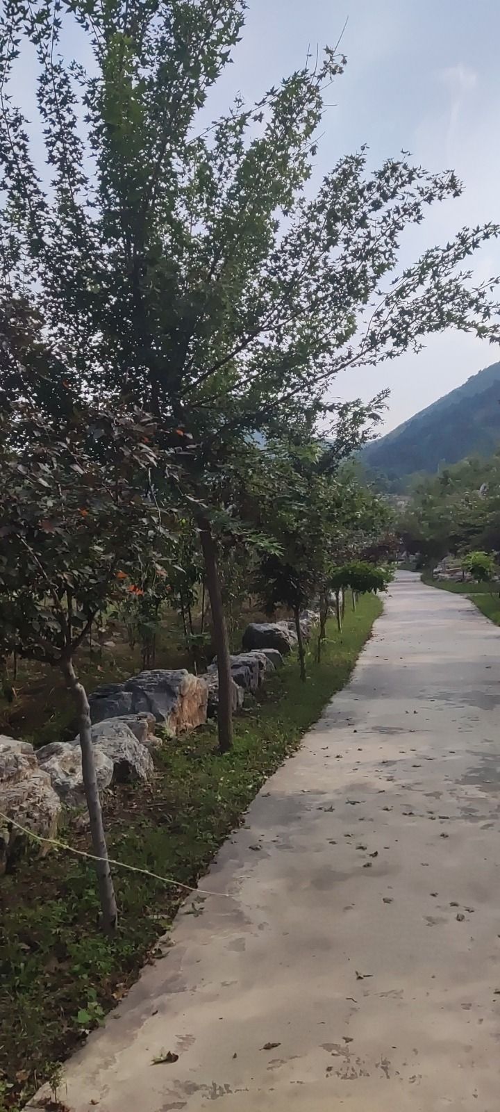 华峪山庄