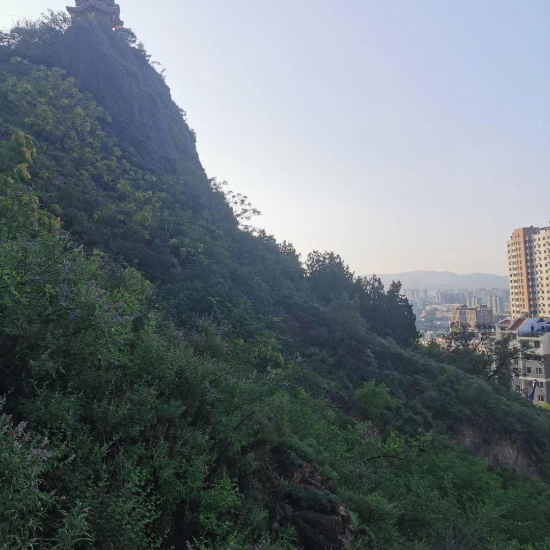 西太平山公园旅行图片