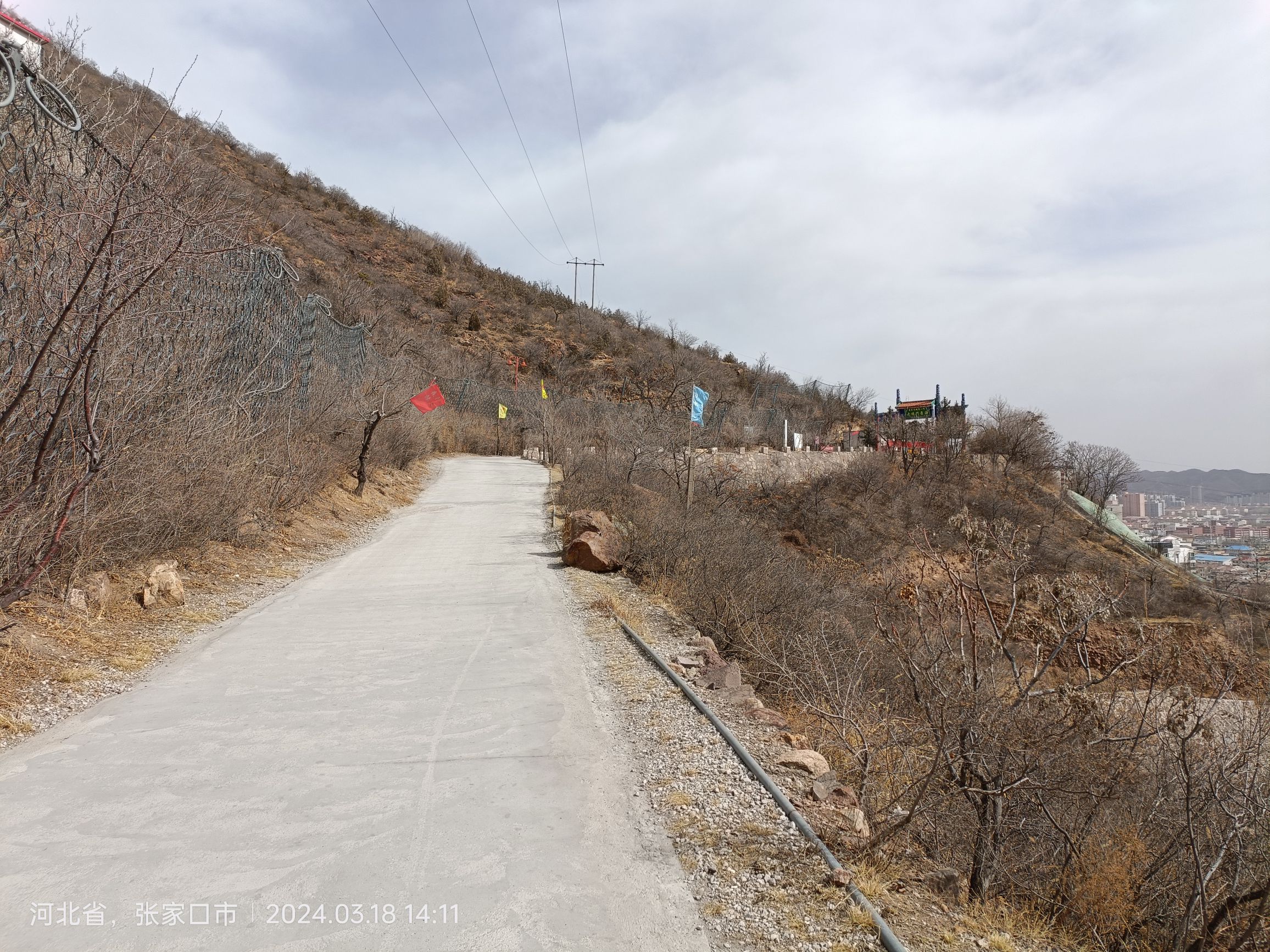 西太平山公园旅行图片