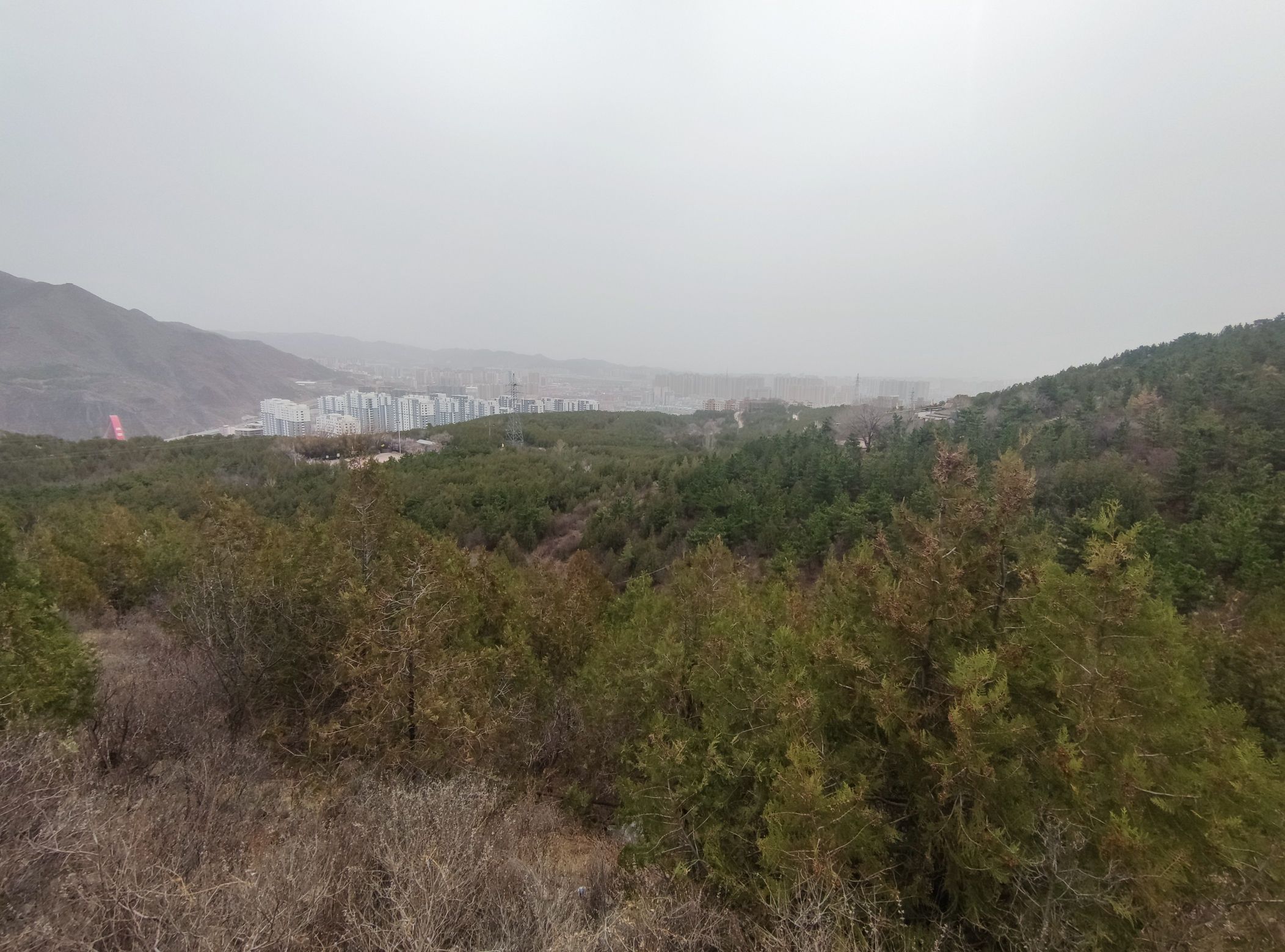 西太平山公园旅行图片