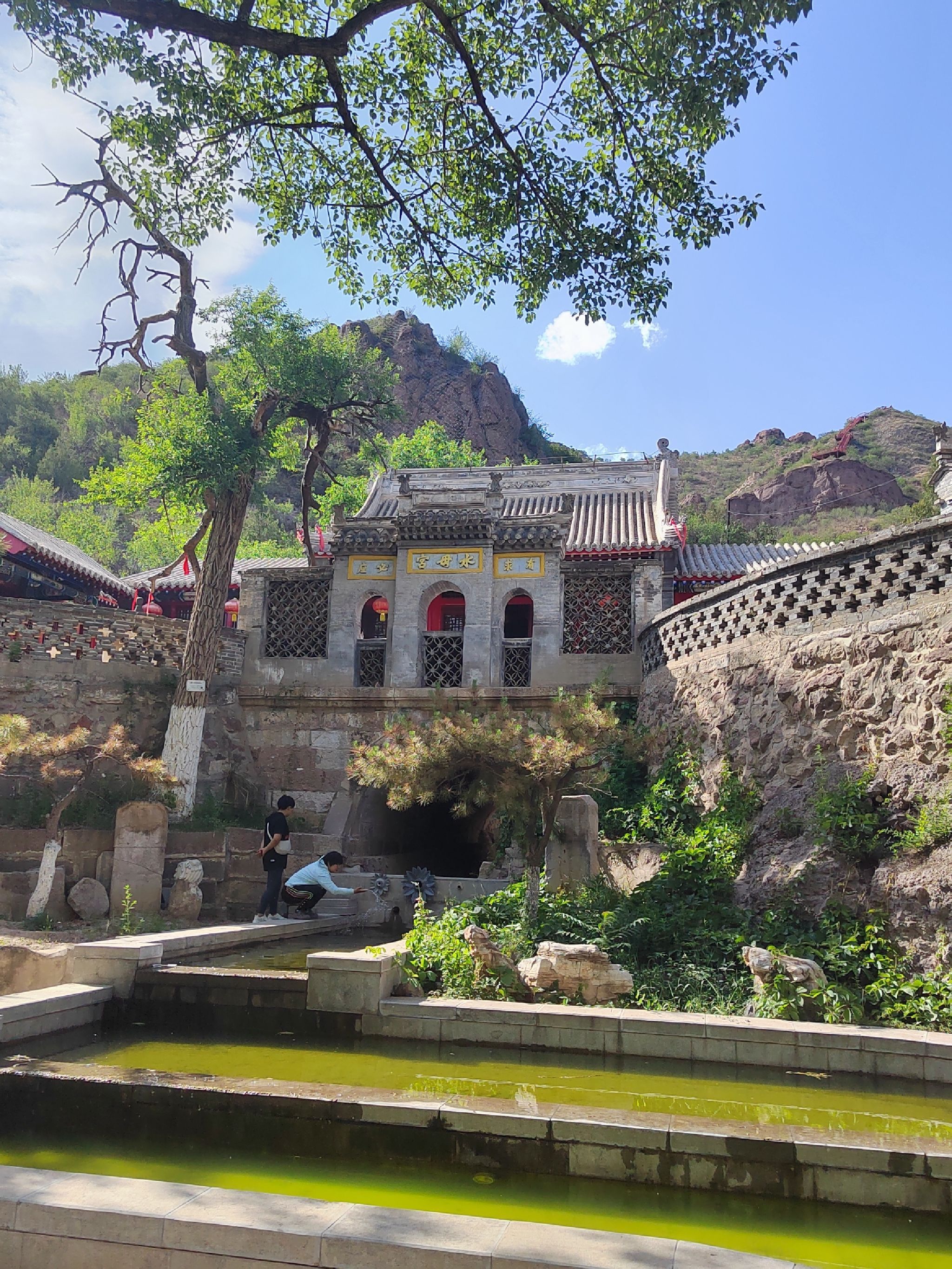 水母宫旅行图片